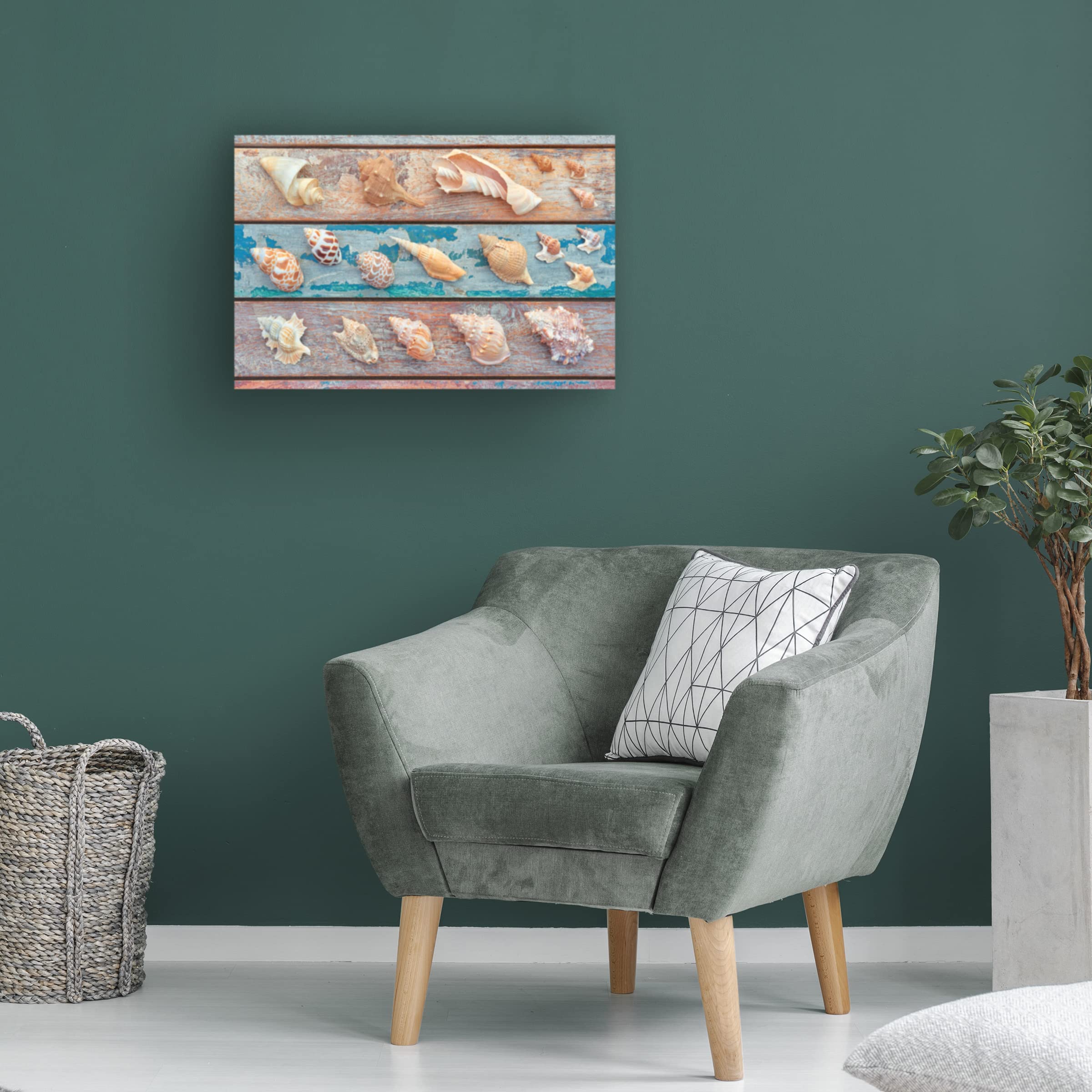 Trademark Fine Art 'Sea Snail Shells' Canvas Wall Art by Cora Niele - Coastal Beach House Decor, Ocean Themed Living Room Painting