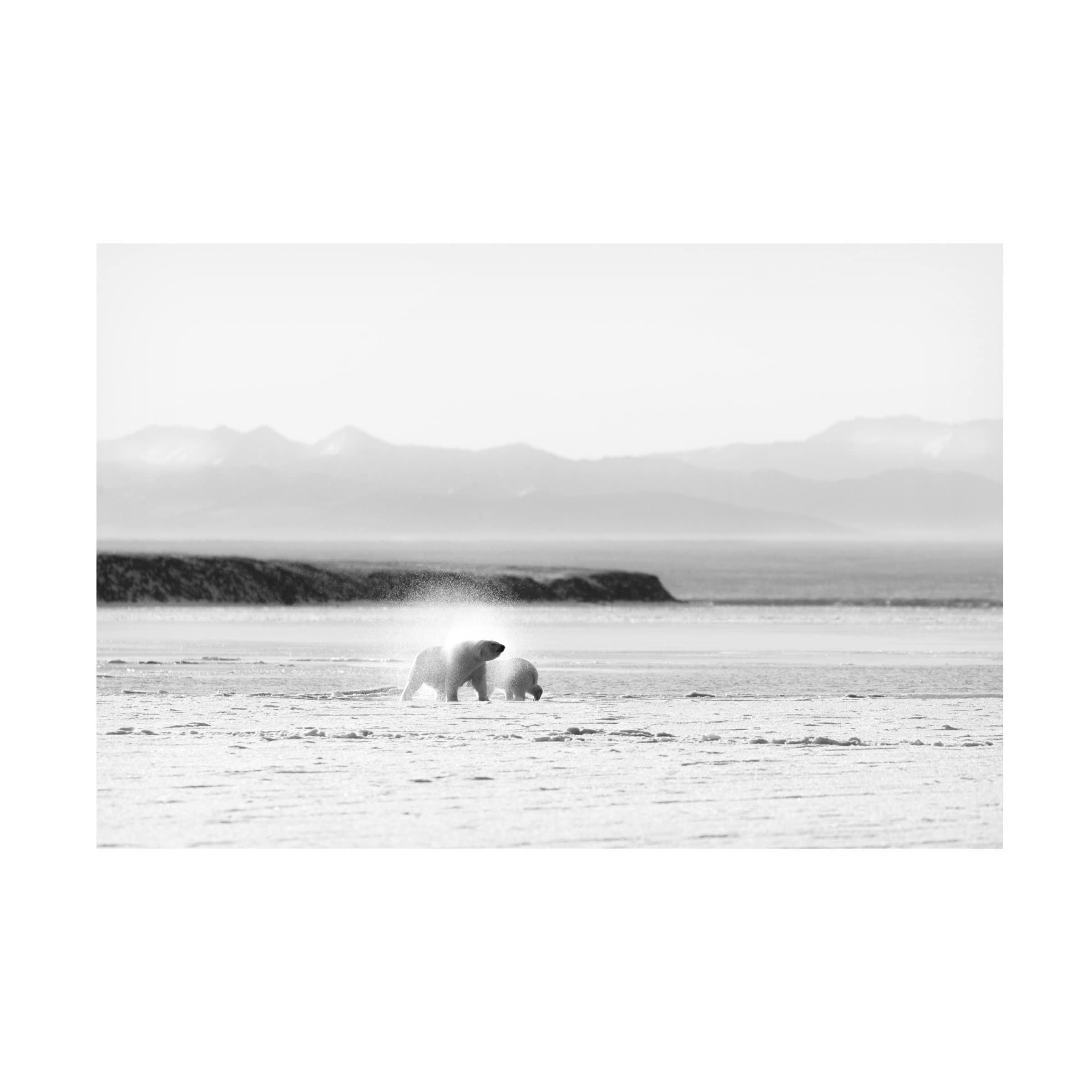 Trademark Fine Art 'Shake' Canvas Wall Art Print by Eiji Itoyama - Modern Abstract Painting for Living Room, Bedroom & Office Decor
