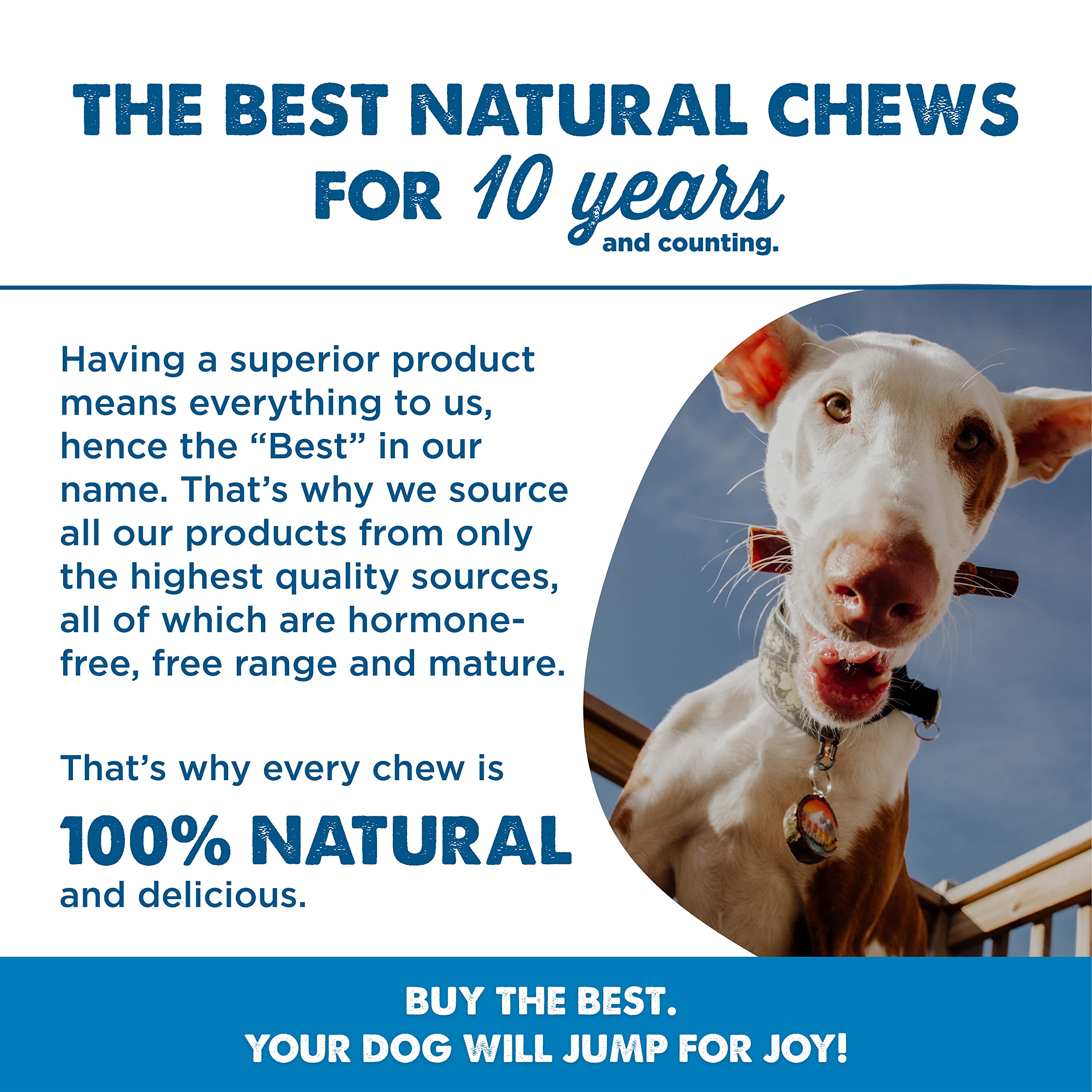 Premium All-Natural Chicken-Wrapped Beef Collagen Dog Chews - 6 Inch (10 Count Pack) | USA Sourced & Baked | Grain-Free, Easily Digestible Rawhide Alternative for Puppies & Adult Dogs - Perfect for Teething, Training Rewards & Dental Health