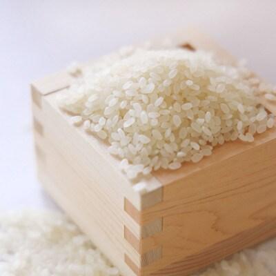 Premium Organic Koshihikari Hakumai Rice - Authentic Japanese White Rice 2kg (44oz) - Perfect for Sushi, Onigiri & Traditional Japanese Cooking