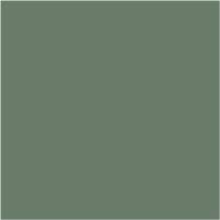 Spruce