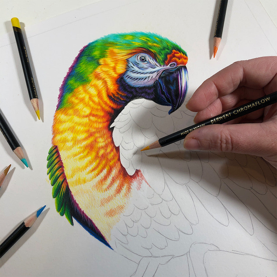 Derwent Chromaflow Colored Pencils Set of 12 - Vibrant Artist Pencils for Drawing, Sketching & Adult Coloring Books | Perfect for Professional Artists & Beginners