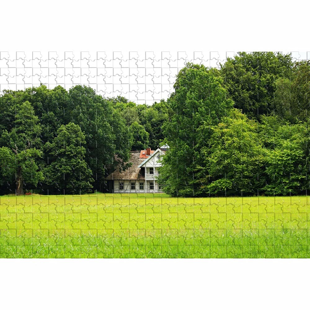 1000-Piece Wooden Jigsaw Puzzle - Castle Park Landscape Art Puzzle for Adults, DIY Fun Game & Educational Toy - Perfect Gift for Family & Friends - Great for Relaxation, Stress Relief & Home Decor (5000 Pieces Available)