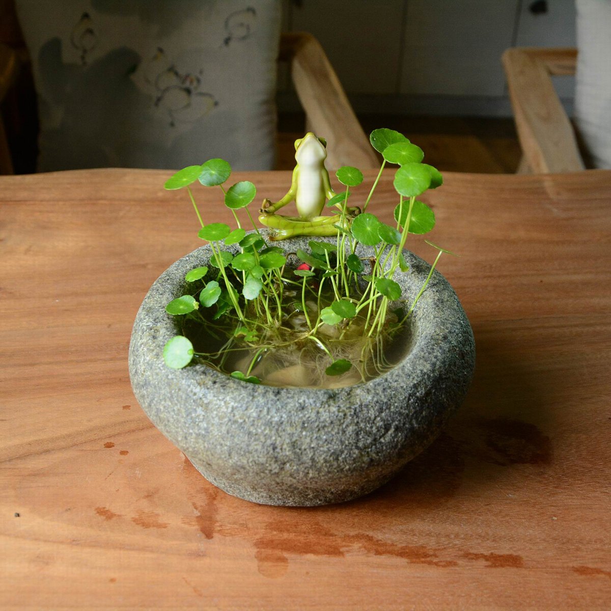 Premium Garden Frog Meditating on Large Stone Flower Pot Planter - Zen Decor for Outdoor Garden, Patio & Yard - Perfect for Meditation Spaces & Landscape Design