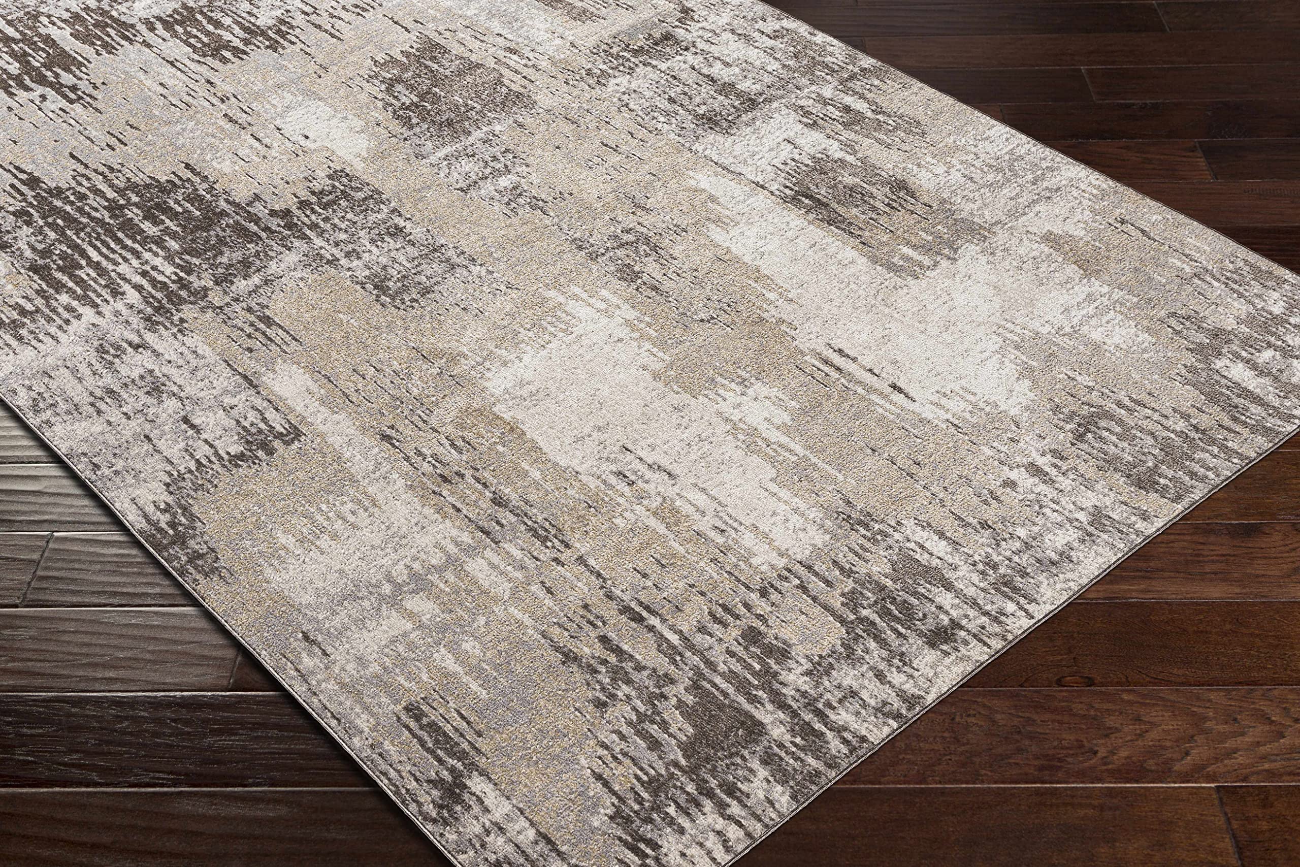 Hauteloom Kuyucak Machine Washable Area Rug - Soft & Durable for Living Room, Bedroom - 7'10