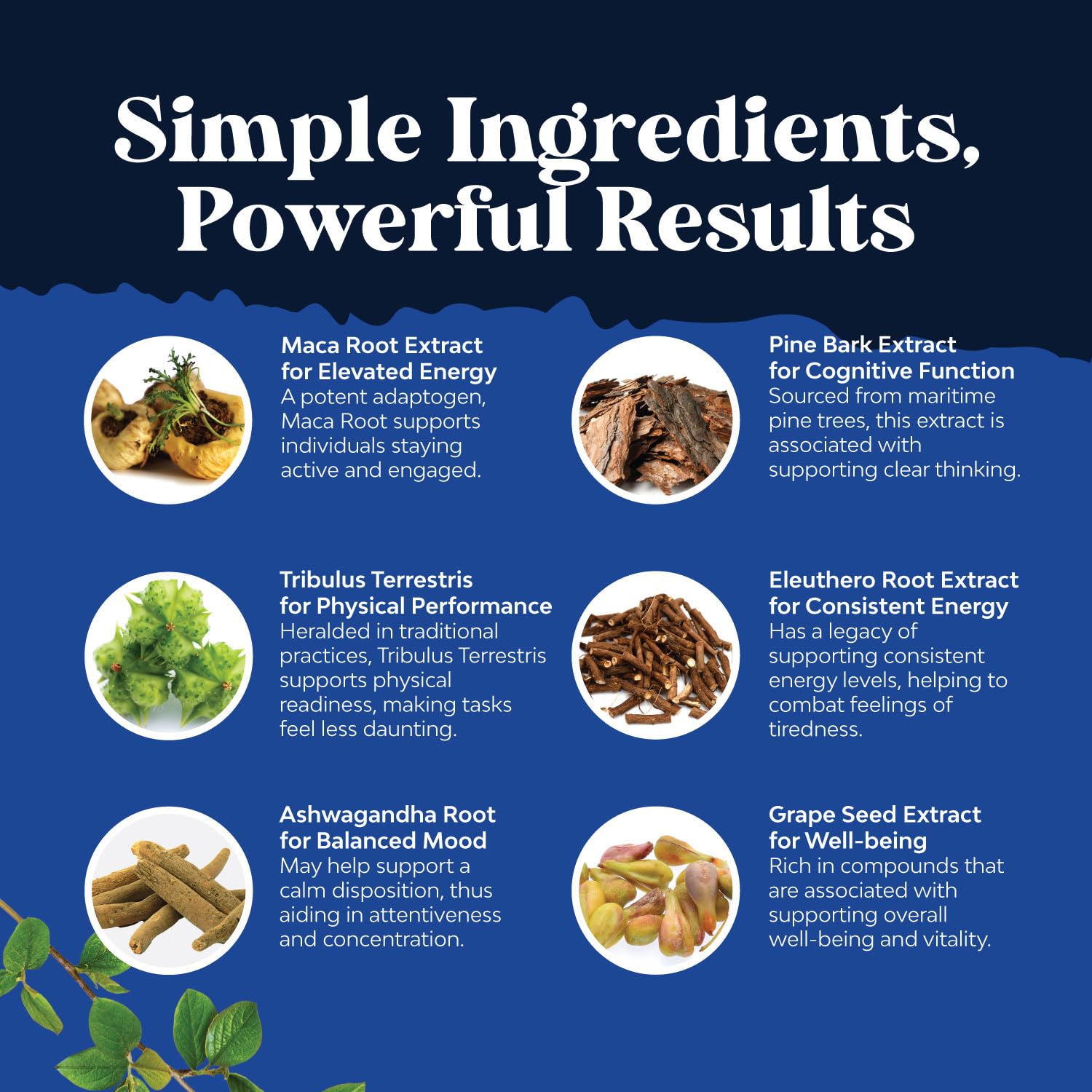 Potent Black Maca Root Capsules for Men - Natural Herbal Supplement with Siberian Ginseng & Ashwagandha - Supports Energy, Vitality & Overall Health (60 Capsules) - Perfect for Daily Wellness Routine, Workout Recovery & Stress Relief
