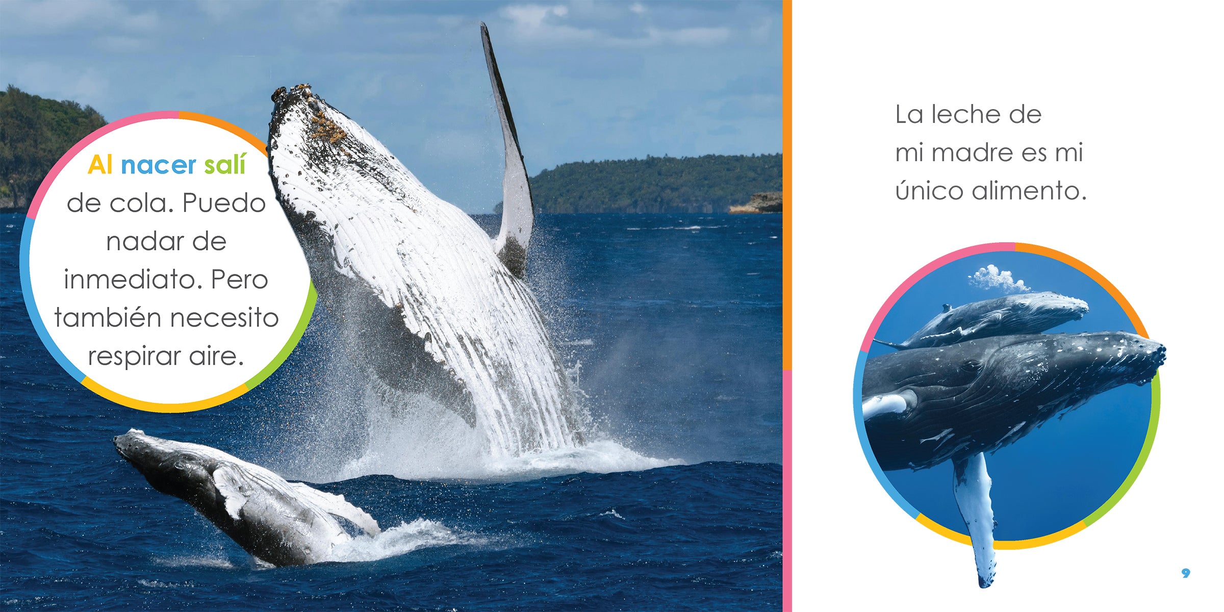 Baby Whales Book 978-1-64026-460-1 - Perfect for Kids' Bedtime Stories and Marine Life Education