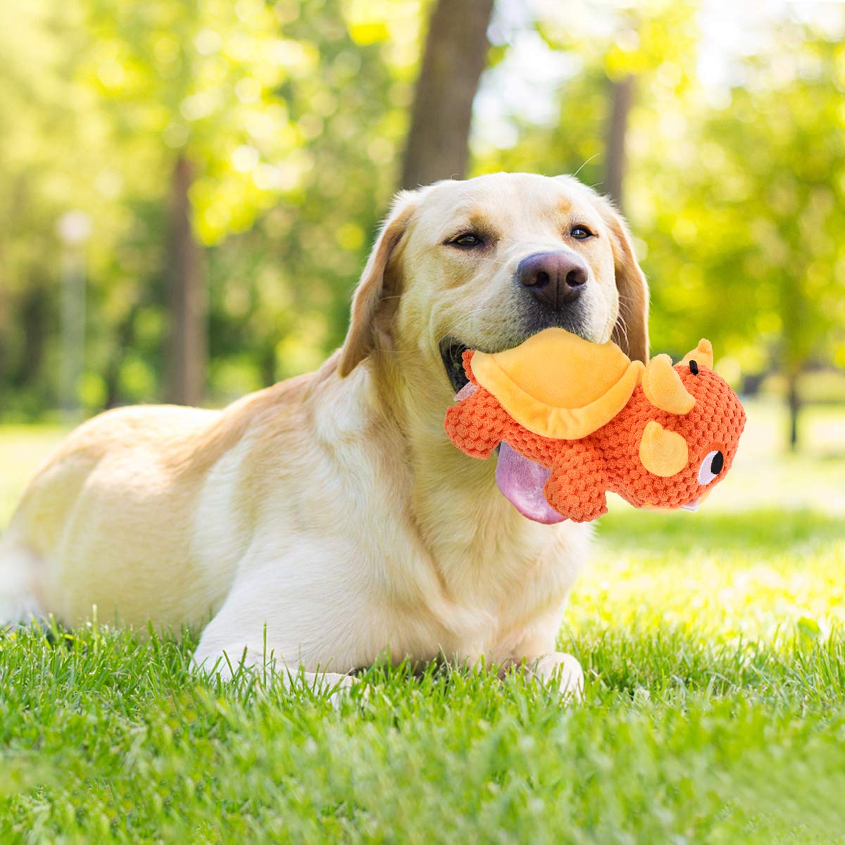 Durable Puppy Chew Toys for Teething - Soft Fluffy Stuffed Cotton Rope Plush Dog & Cat Toys for Boredom Relief - Perfect for Small, Medium & Large Breed Puppies & Adult Dogs - Great for Indoor Play, Training & Anxiety Relief