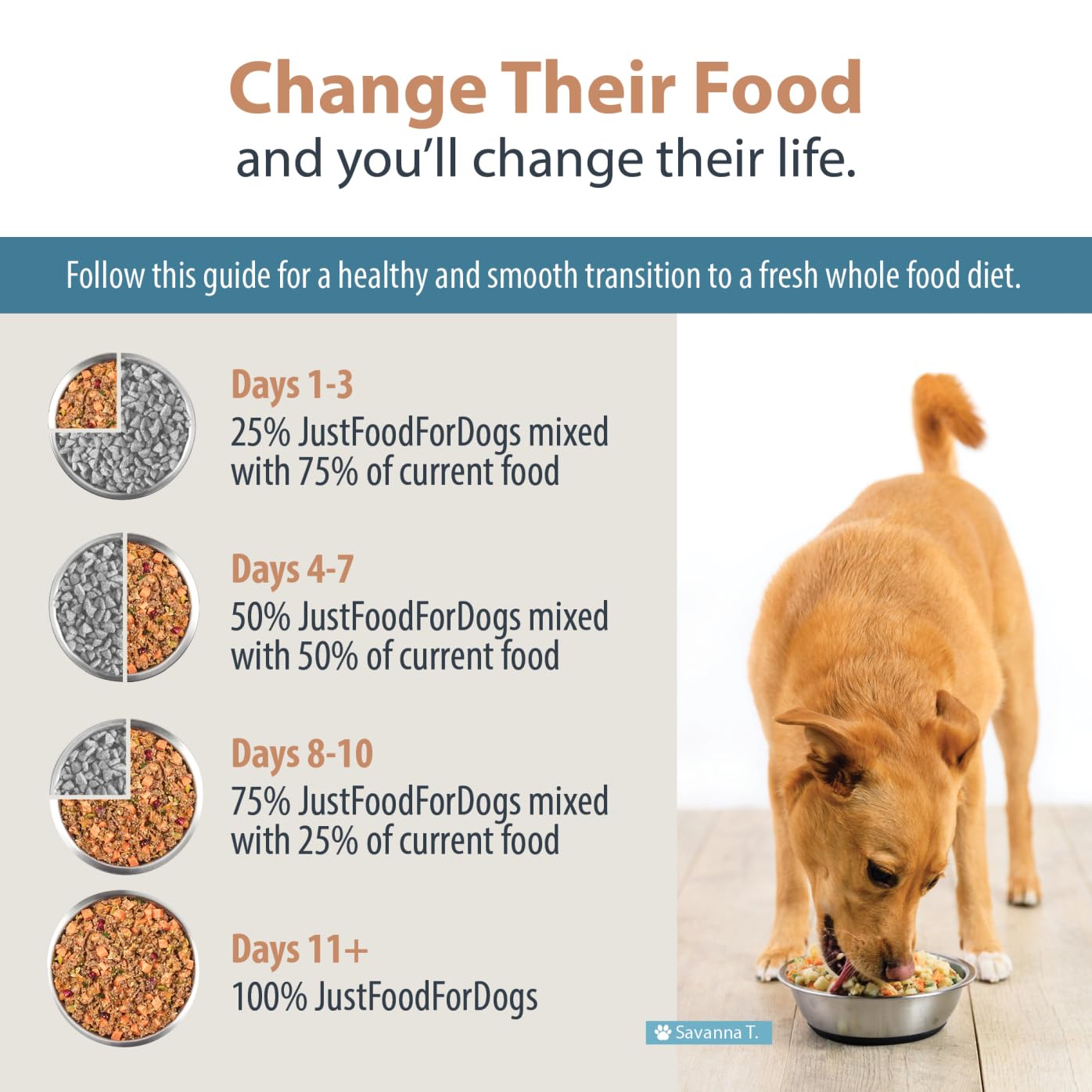 JustFoodForDogs Frozen Fresh Dog Food for Sensitive Stomachs - Complete Meal or Topper - Human Grade Balanced Remedy - 18oz (21 Pack) - Perfect for Dogs with Digestive Issues & Allergies