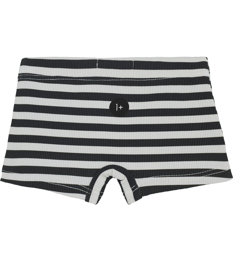 1+ in the Family Men's Anthracite Striped Swim Trunks - Quick-Dry Beach Shorts for Swimming, Vacation & Summer Activities