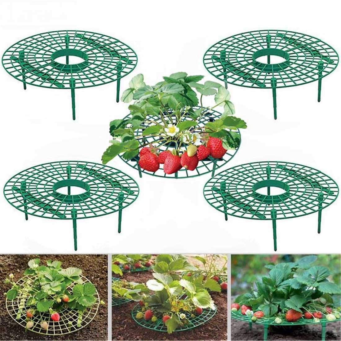 10 Pack Strawberry Supports for Fruit & Vine Plants - Garden & Balcony Use