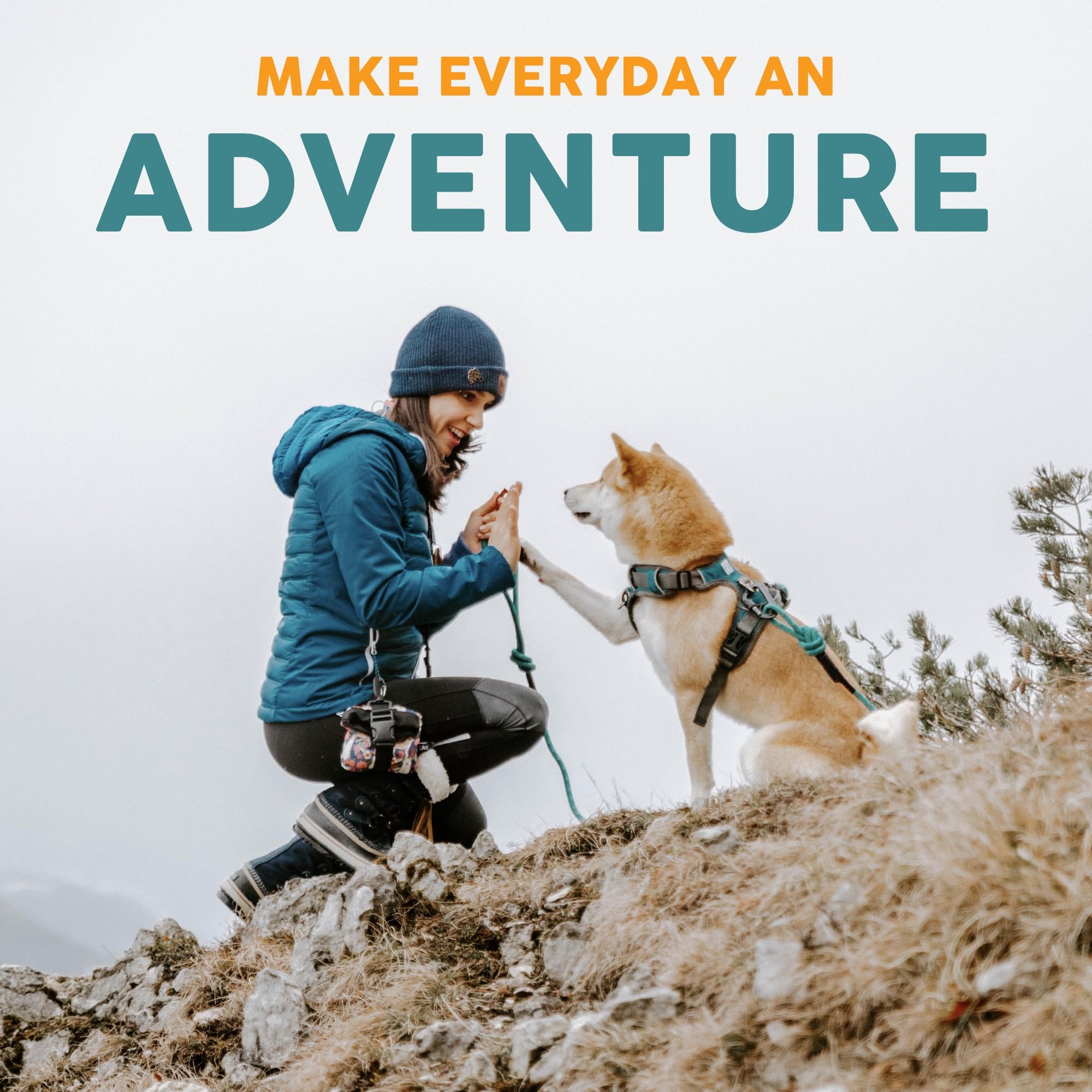 Embark Urban Dog Collar - Premium Nylon Adjustable Collar for Medium Dogs | Strong Buckle & Comfortable Fit | Perfect for Daily Walks, Training & Outdoor Adventures