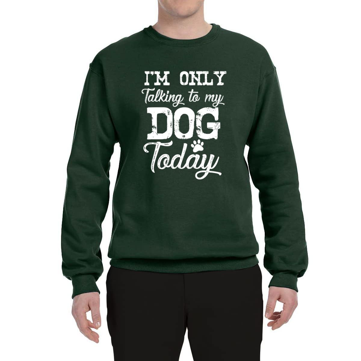Wild Bobby 'I'm Only Talking to My Dog Today' Funny Dog Lover Graphic Sweatshirt for Men & Women - Cozy Crewneck Pullover for Dog Owners, Pet Lovers, Casual Wear