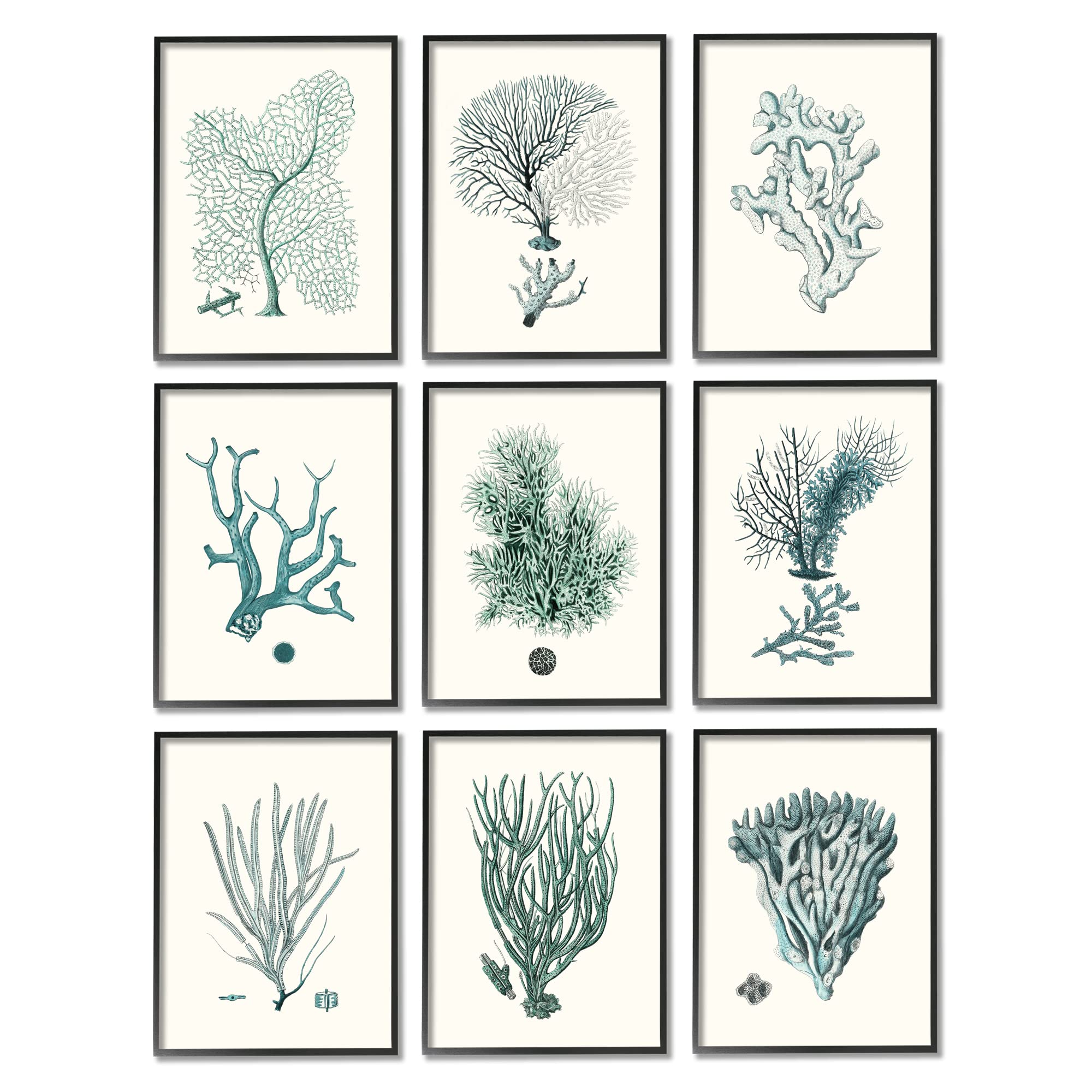 Stupell Industries Deep Sea Coral Arrangement Blue Ocean Plant Life Wall Art - Johann Esper Design - Coastal Home Decor for Living Room, Bedroom & Bathroom