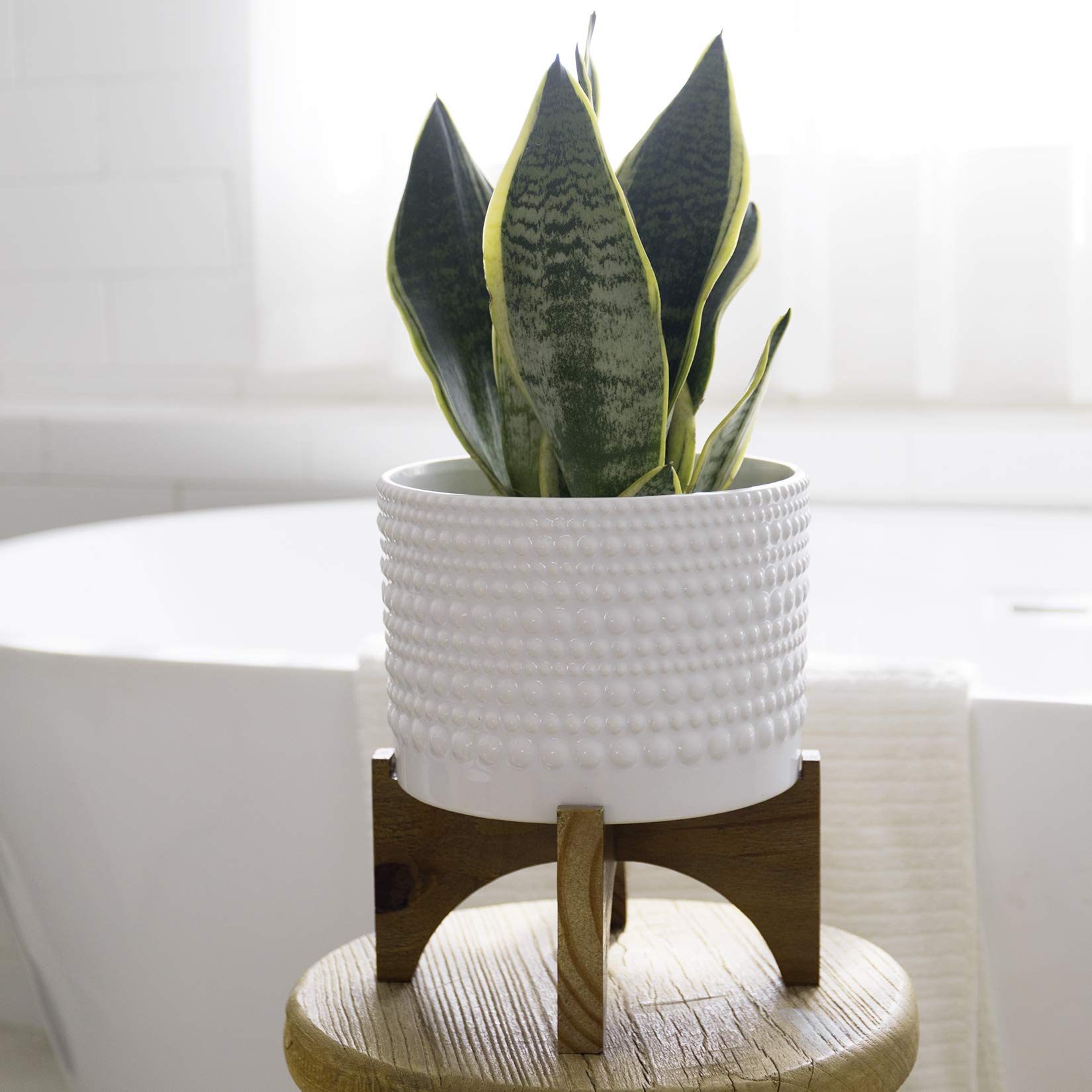 LA Jolie Muse 8 Inch White Ceramic Planter with Wood Stand - Cylinder Embossed Hobnail Pattern Flower Pot for Indoor Plants | Perfect for Home Decor, Office Desk, and Living Room Decorations