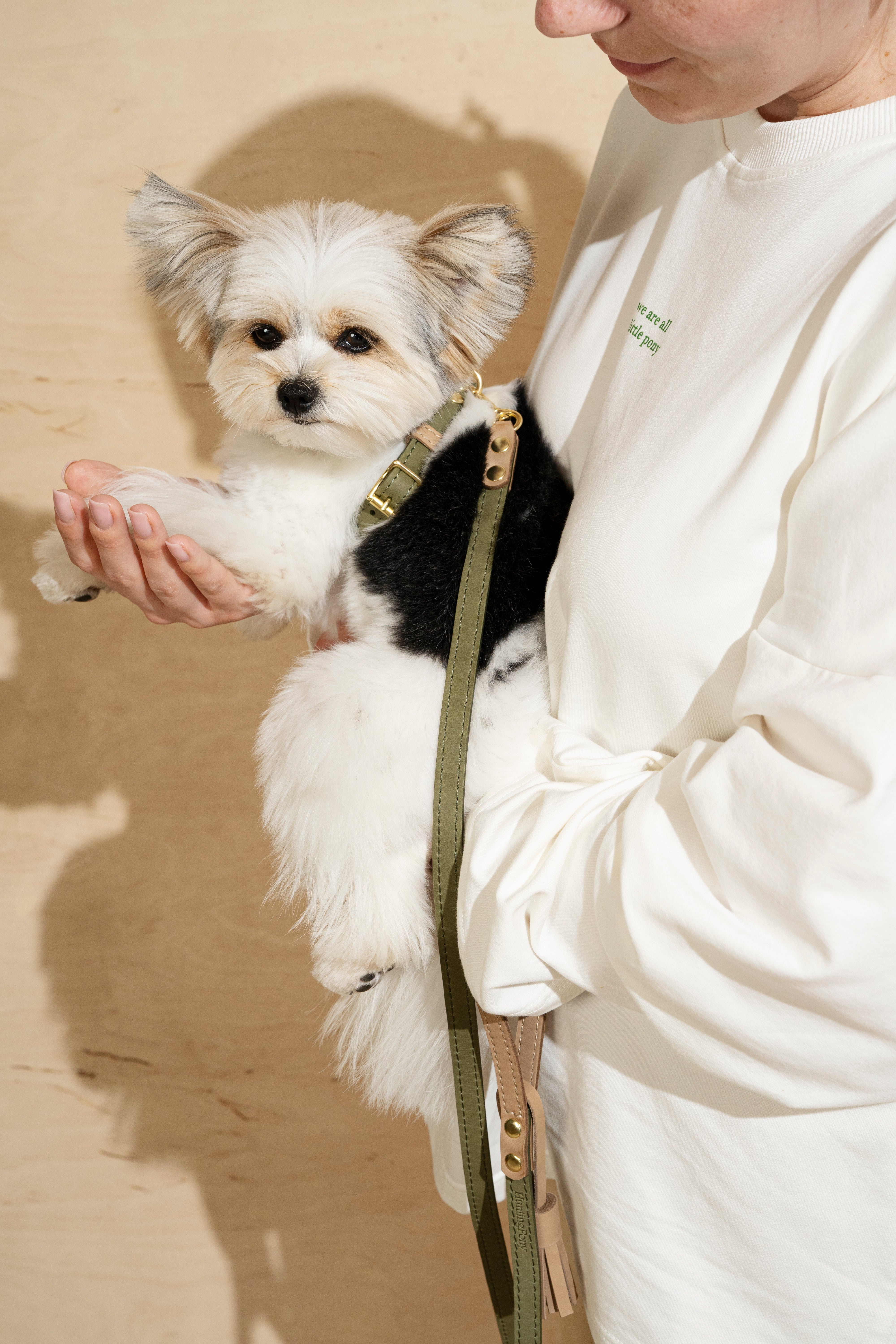 Premium Pony Harness for Walking - Green & Beige | Comfortable & Durable Pet Accessory for Training, Exercise, and Outdoor Adventures