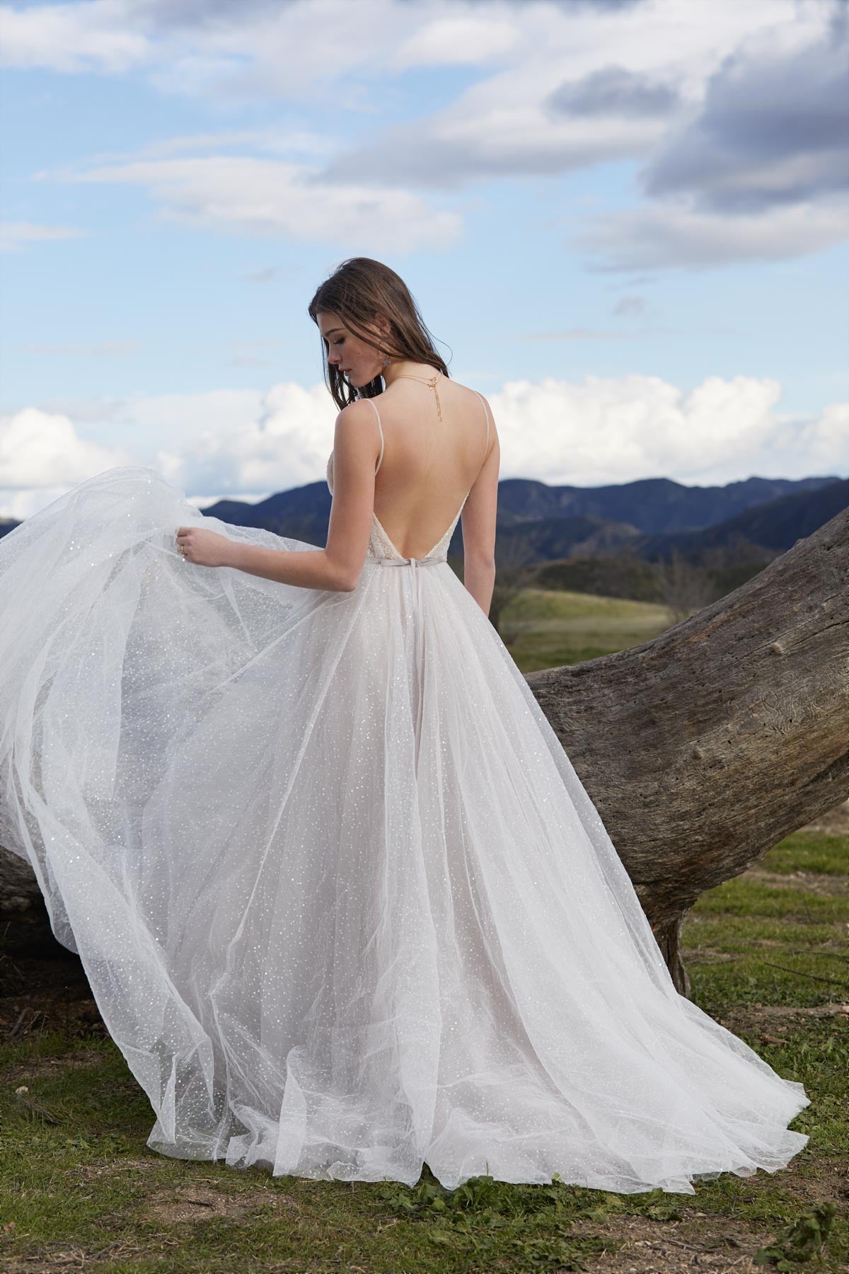 Willowby Hera Galaxy Gown - Elegant Starry Evening Dress for Prom, Wedding & Special Occasions