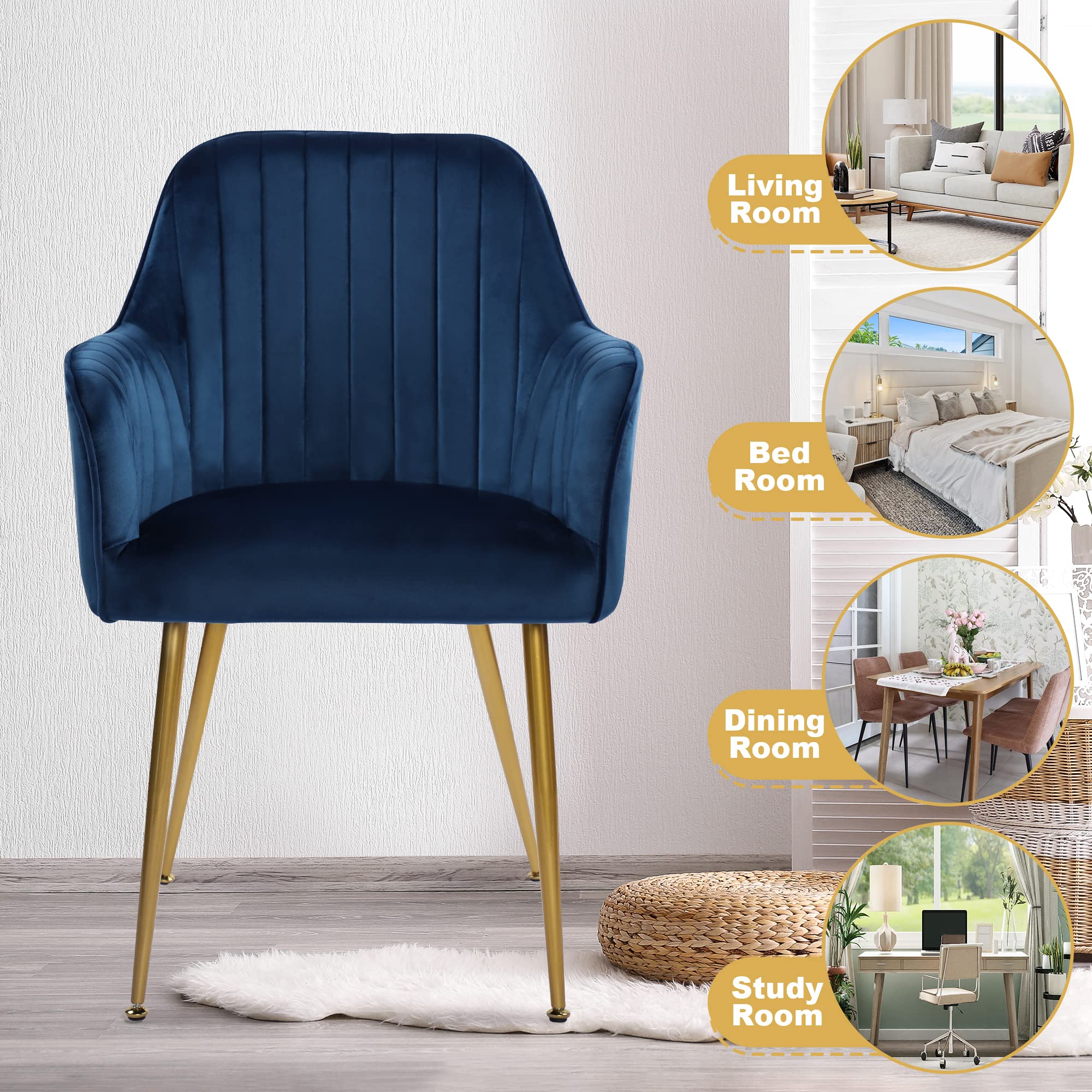 Luxury Velvet Dining Chairs Set of 4 - Modern Upholstered Accent Chairs with Gold Metal Legs for Living Room, Bedroom & Office - Soft Blue Fabric Seating for Home Decor & Entertaining