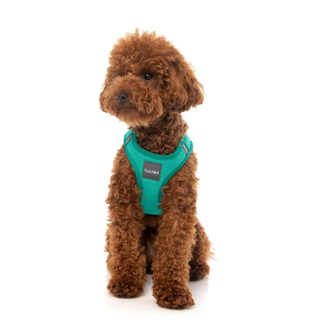 Fuzzyard Step-in Dog Harness - Adjustable Soft Pet Vest with Reflective Strips, Multiple Colors for Small Medium Large Dogs - Perfect for Walking, Running & Outdoor Adventures