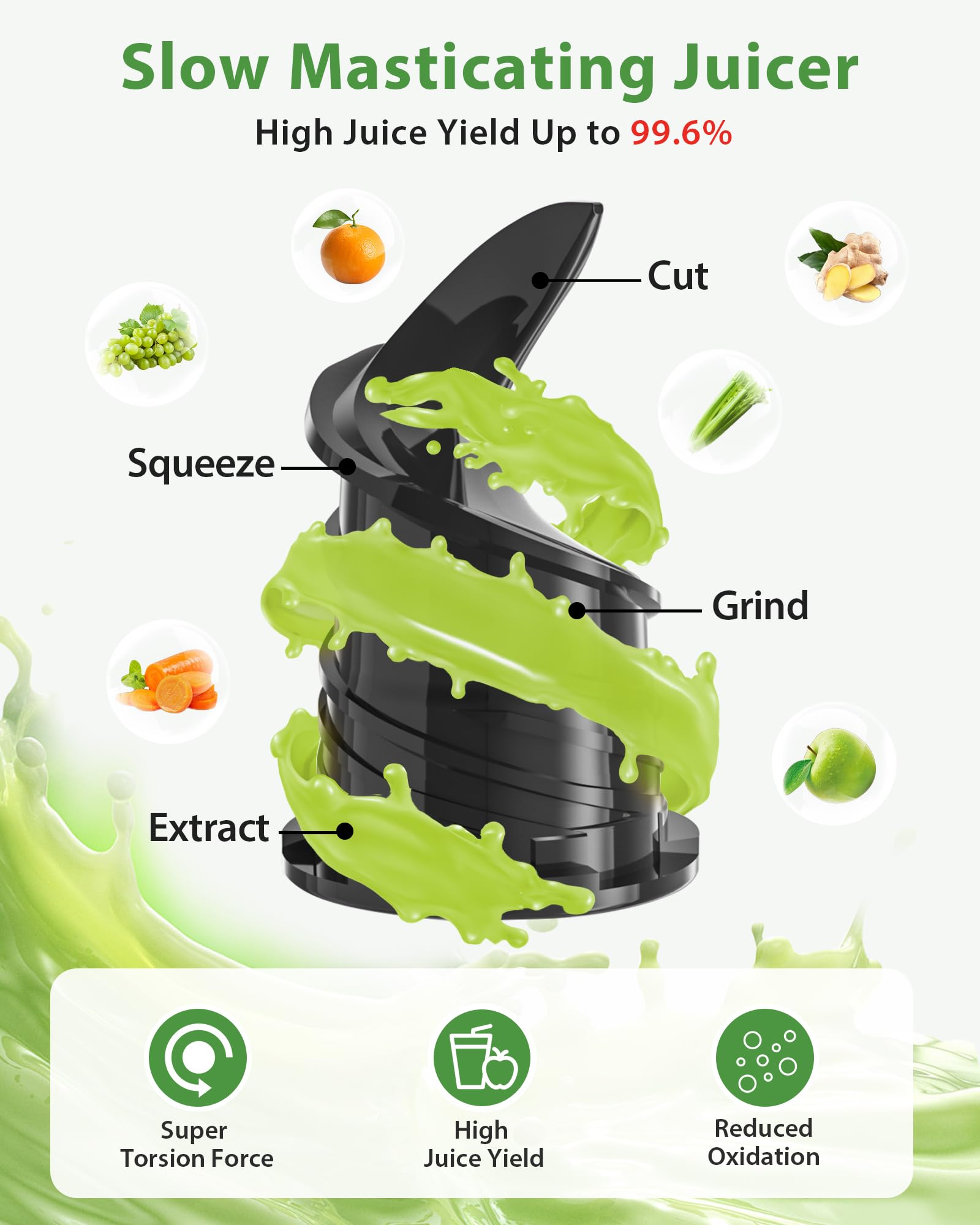 Premium Slow Juicer Machine with 4.35