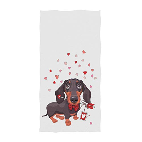 Dachshund Dog