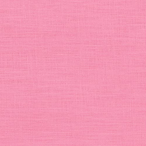 Pink Carnation