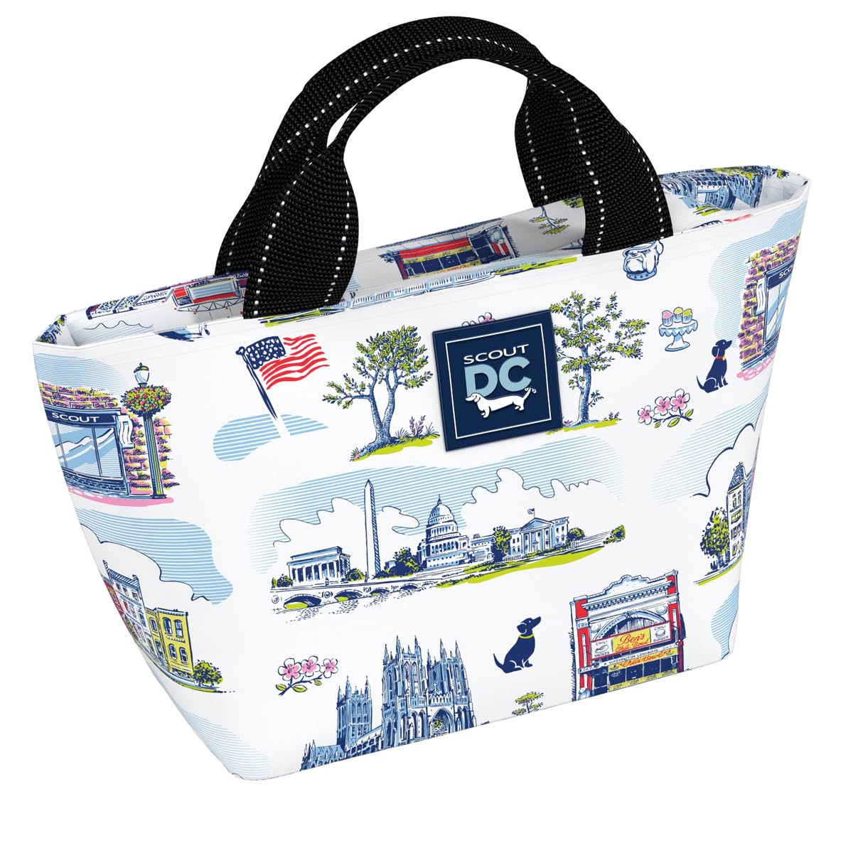 Scout Nooner Insulated Lunch Box - Lightweight Cooler Bag with Exterior Zip Pocket for Women | Perfect for Work, School, Picnics & Beach Outings