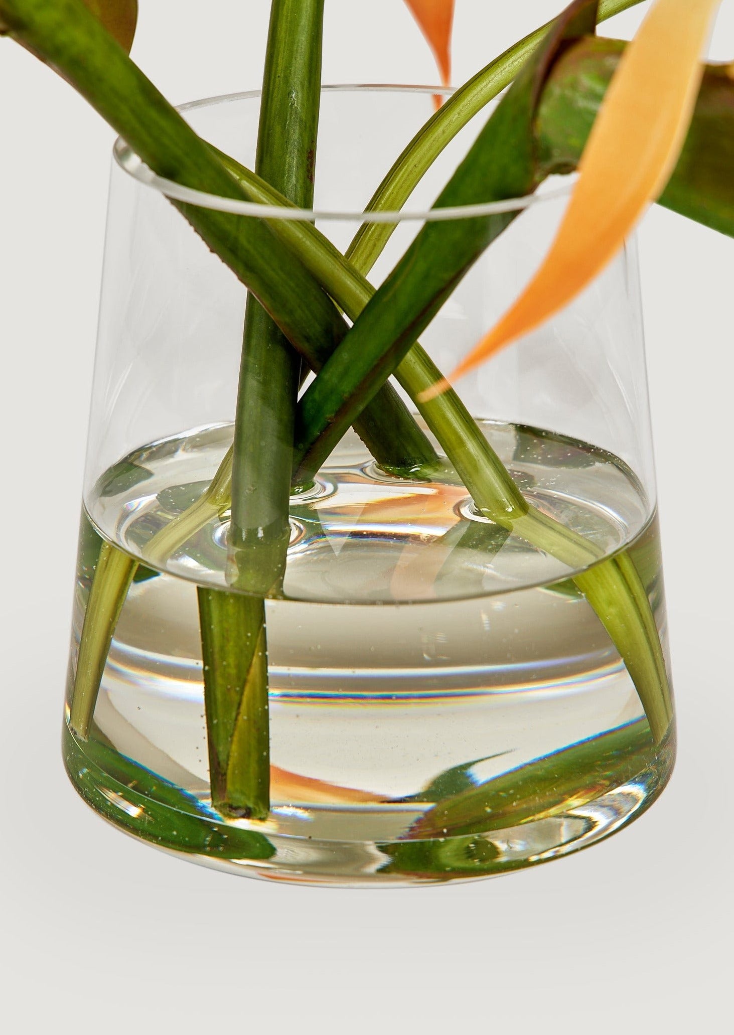 Artificial Tropical Bird of Paradise Flower Arrangement in Glass Vase - 11