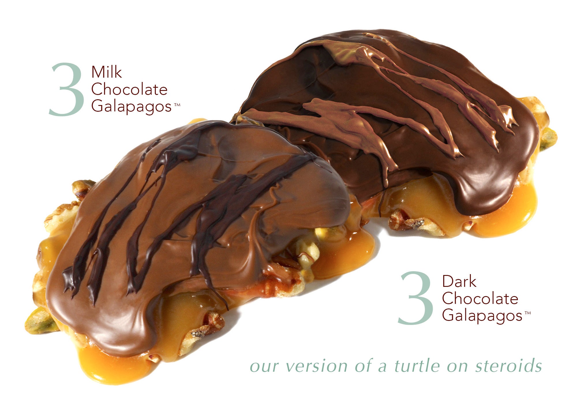 Premium Gift Box of 6 Chocolate Galapagos - 3 Dark Chocolate & 3 Milk Chocolate Truffles | Gourmet Dessert for Holidays, Birthdays & Corporate Gifting