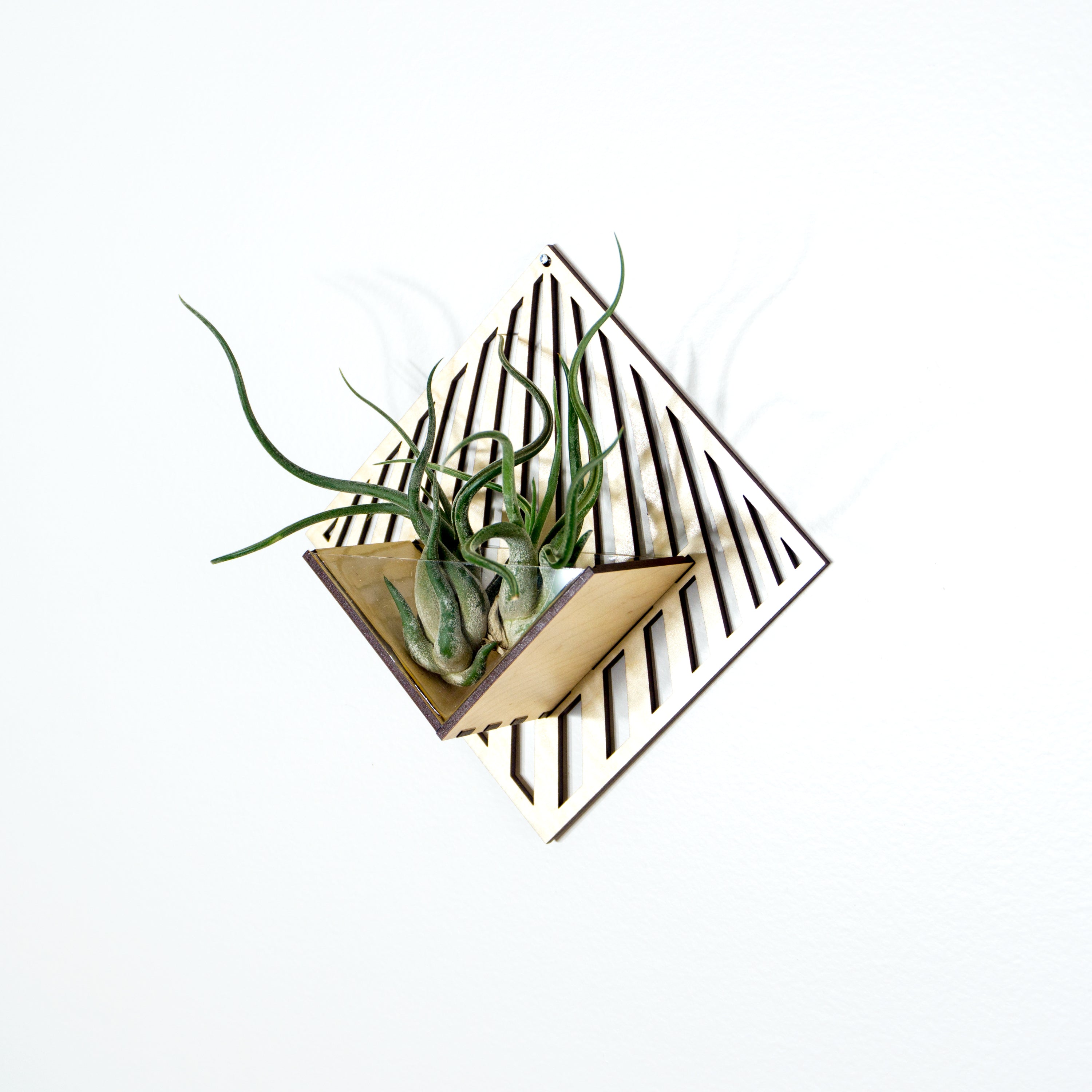 Handmade Wooden Quadrate Wall Planter - Air Plant Holder & Mounted Hanger Display for Tillandsia | Unique Home Decor Gift for Plant Lovers | Perfect for Living Room, Bedroom & Office Decor