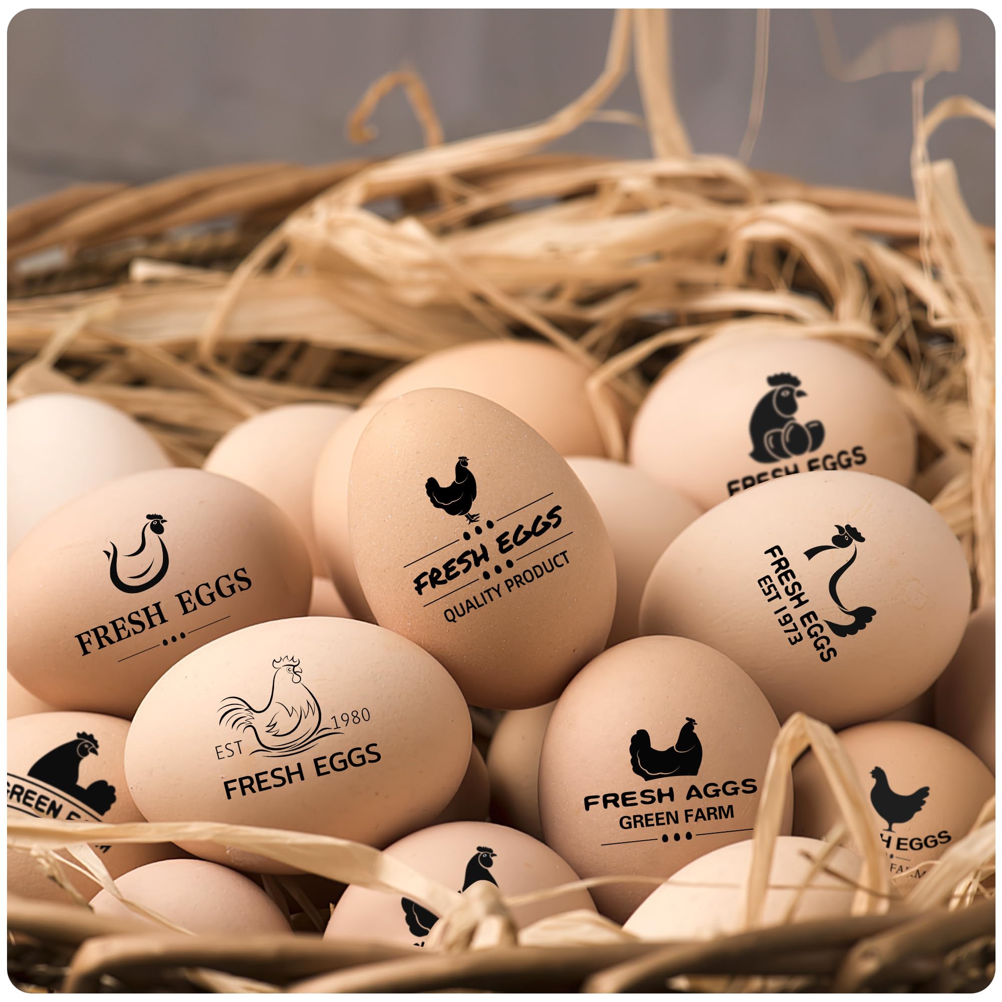 Custom Personalized Egg Stamp for Fresh Eggs - Farm Chicken Coop Branding with Name/Logo - 1