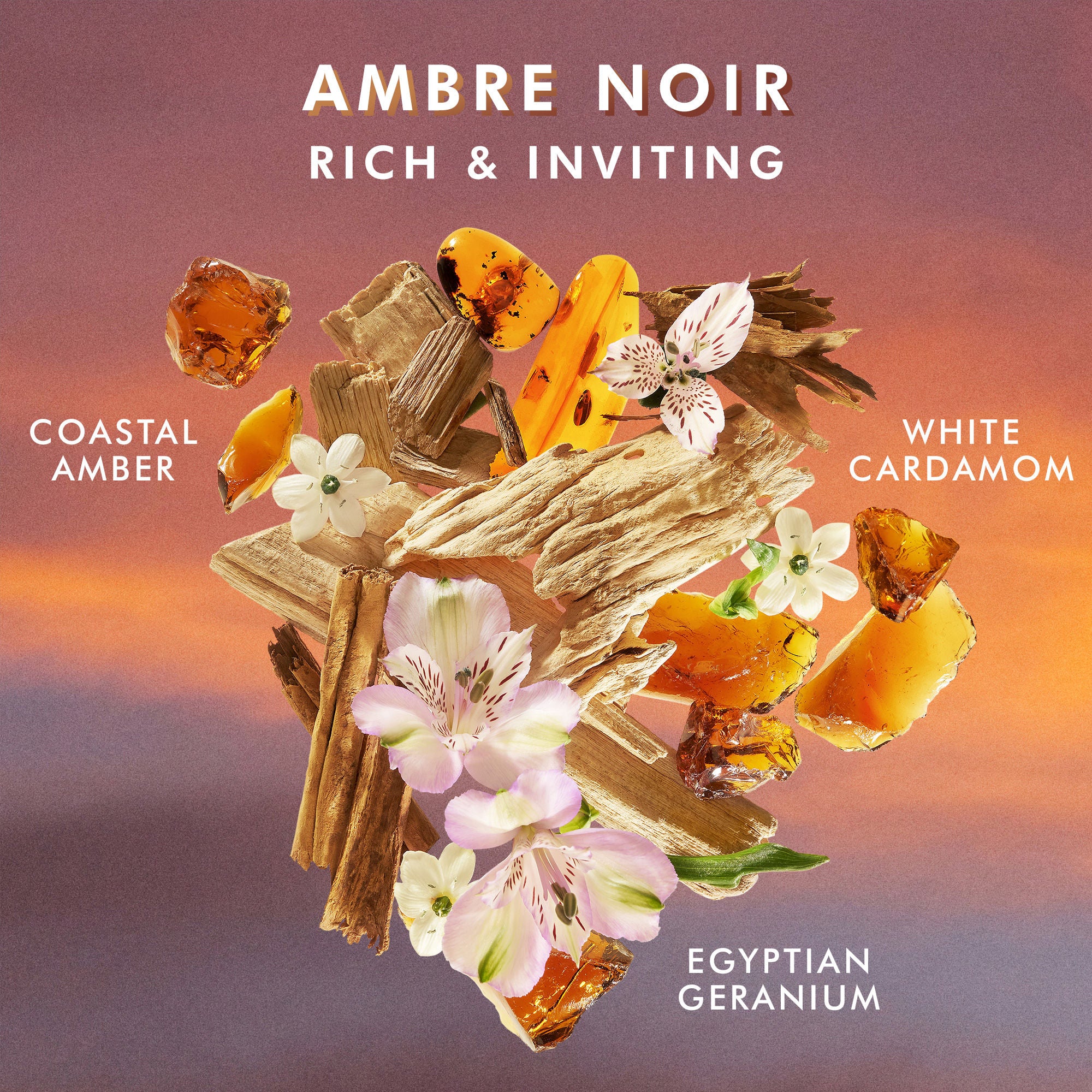 Ambre Noir Hand Cream - Ultra Moisturizing & Nourishing for Dry Skin - Perfect for Winter Care & Daily Hydration