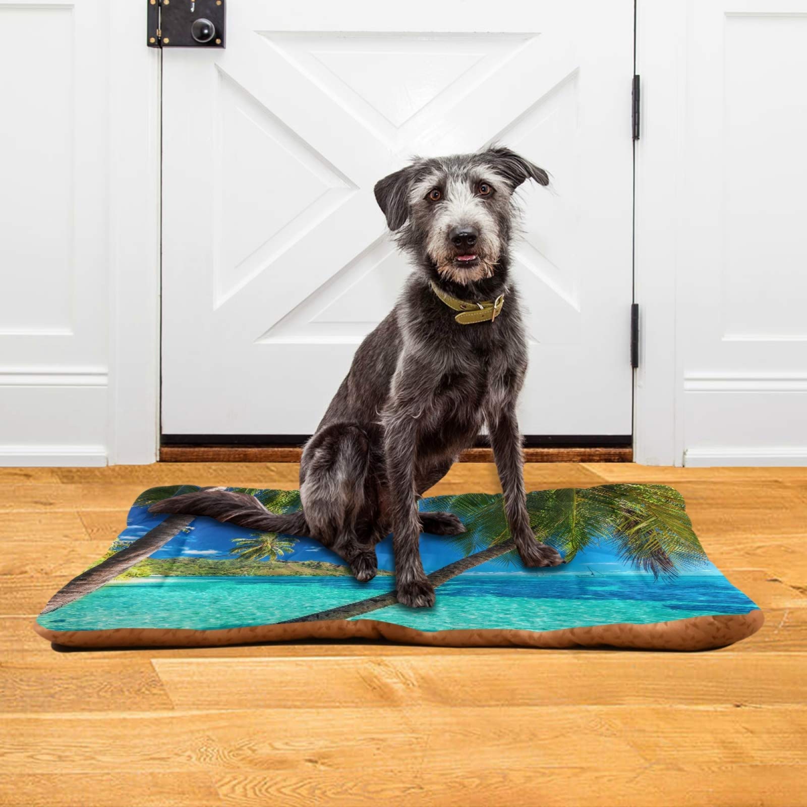 Tropical Beach Palm Trees Pet Bed - Ultra Soft Rectangle Dog & Cat Bed for Small to Medium Pets, Calming Comfort (24x18 Inches) - Perfect for Home, Office, or Travel Use