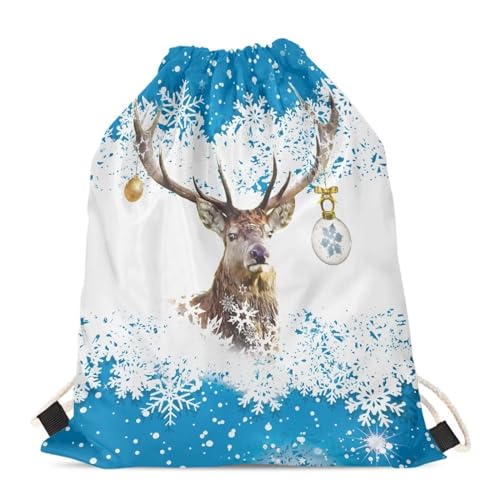 Reindeer Snowflakes Blue