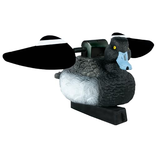 Drake Bluebill