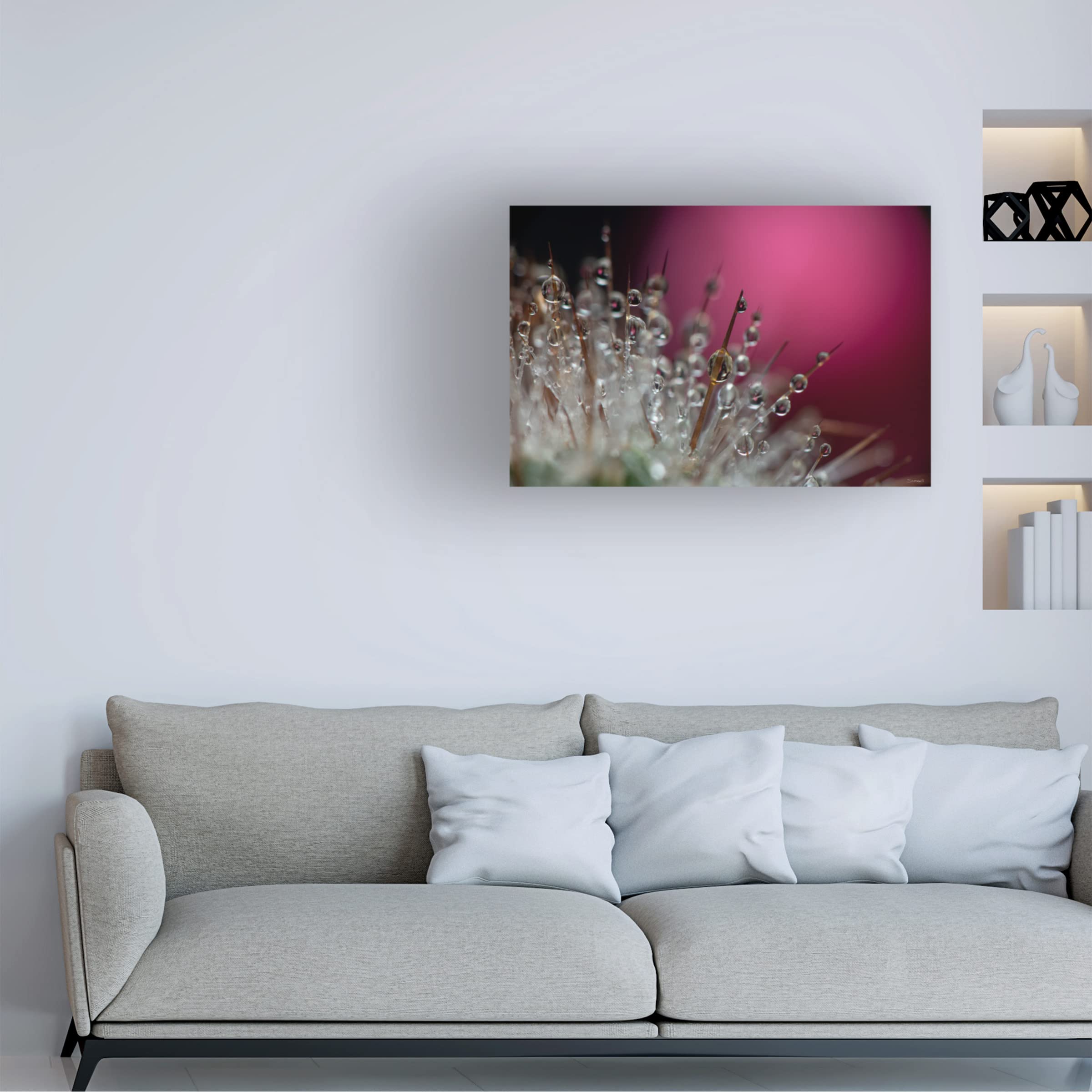 Gordon Semmens 'Cactus Flowers 16' Framed Canvas Wall Art Print - 16x24 Inches - Desert Botanical Home Decor for Living Room, Bedroom & Office