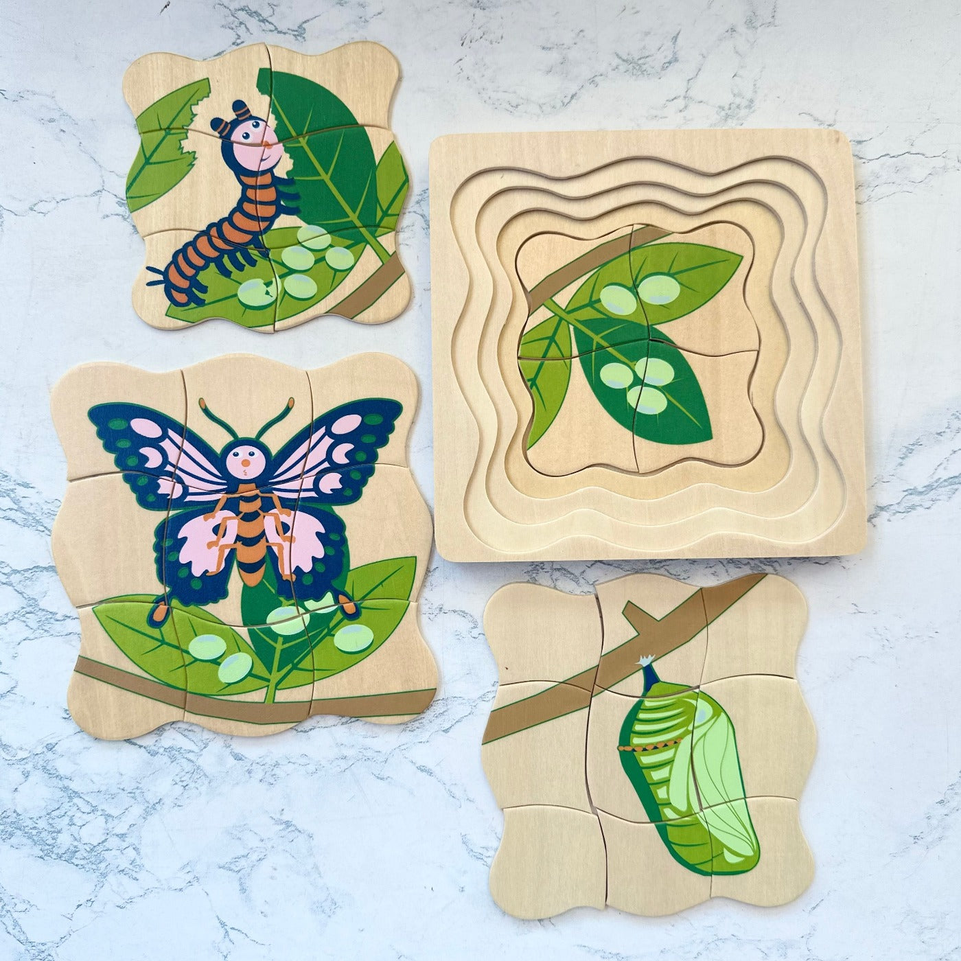 Timber Butterfly Life Cycle 4 Layer Wooden Puzzle - Educational Montessori Toy for Kids Learning & Home Decor