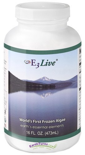 E3Live AFA Frozen Blue-Green Algae 6-Pack (16 oz Bottles) | Premium Superfood Supplement by Vision | Boost Energy & Immunity for Active Lifestyles