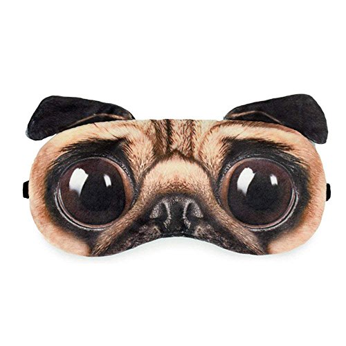 Dog #13