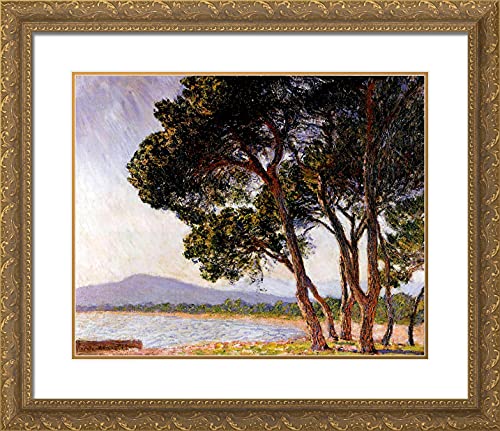 Gold Ornate Wood Frame with Double Matting