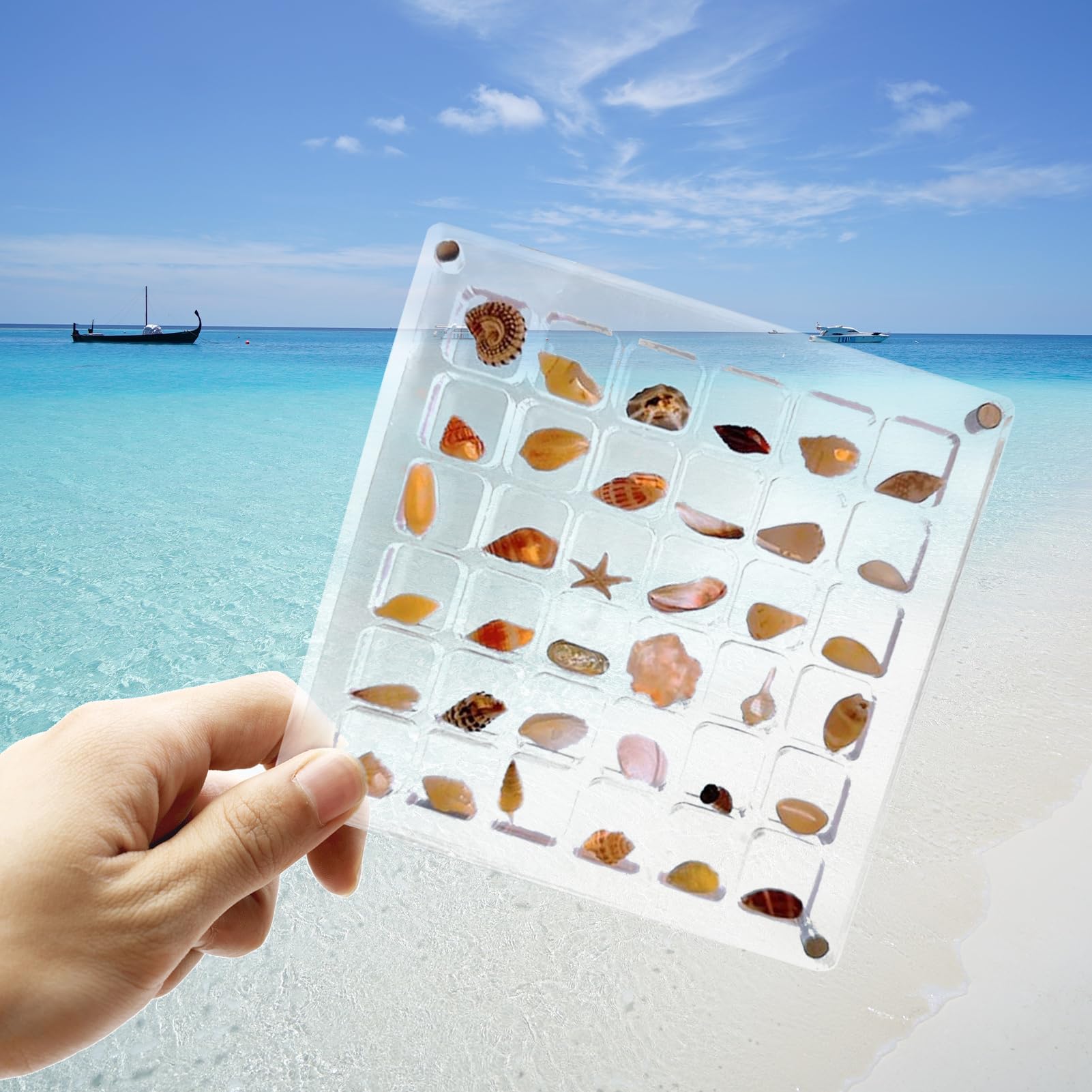 Acrylic Magnetic Seashell Display Box - 64 Grid Round Organizer for Beach Treasures, Gems, Jewelry & Crafts | Decorative Storage for Shells, Starfish & Small Trinkets | Perfect for Beach House Decor, Craft Room Organization & Gift Packaging