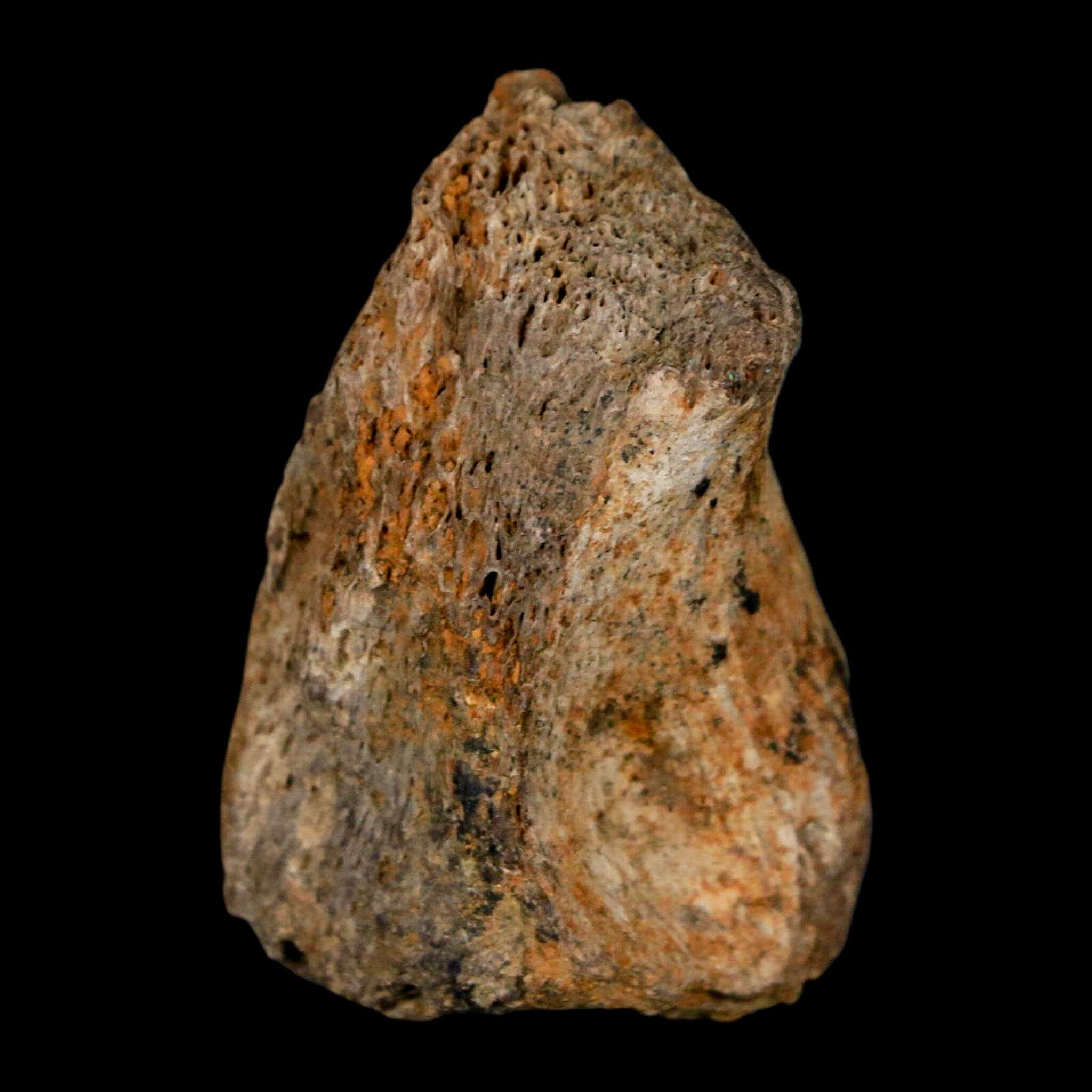 1.5