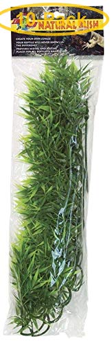 Zoo Med Madagascar Bamboo Aquarium Plants Large (22
