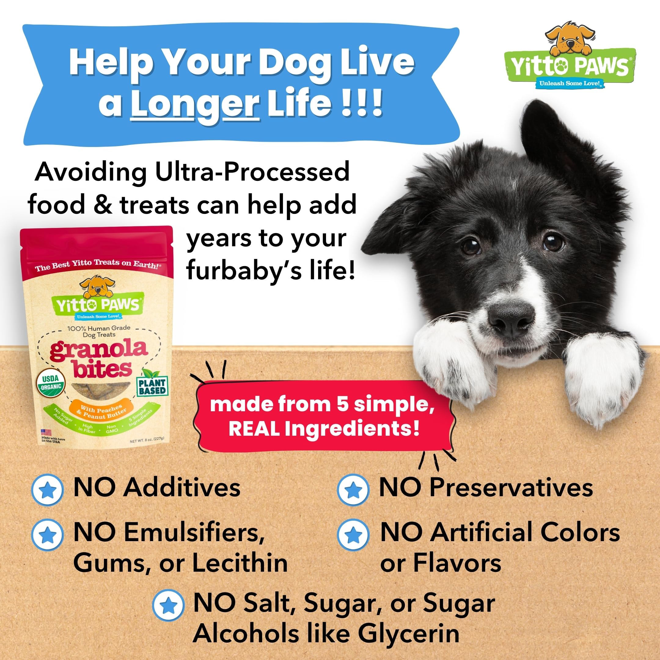 Organic Crunchy Peanut Butter Dog Treats with Peach & Oats - All Natural, Vegan, Low Calorie Training Biscuits for Dogs - USA Made, Human-Grade, No Sugar Added - Perfect for Training, Rewards & Healthy Snacking