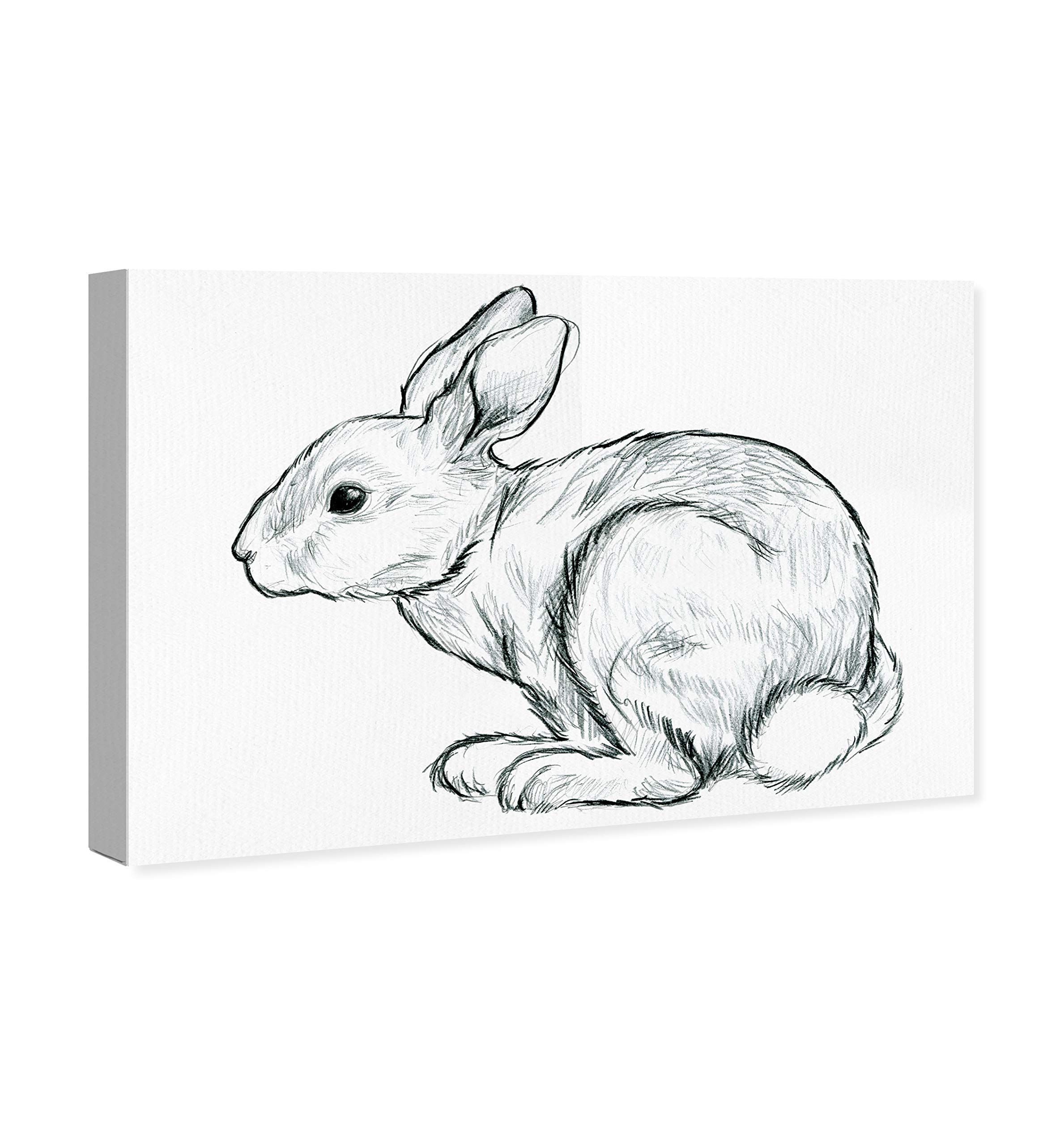 Sketchy Hare Wall Art Canvas Print - 45