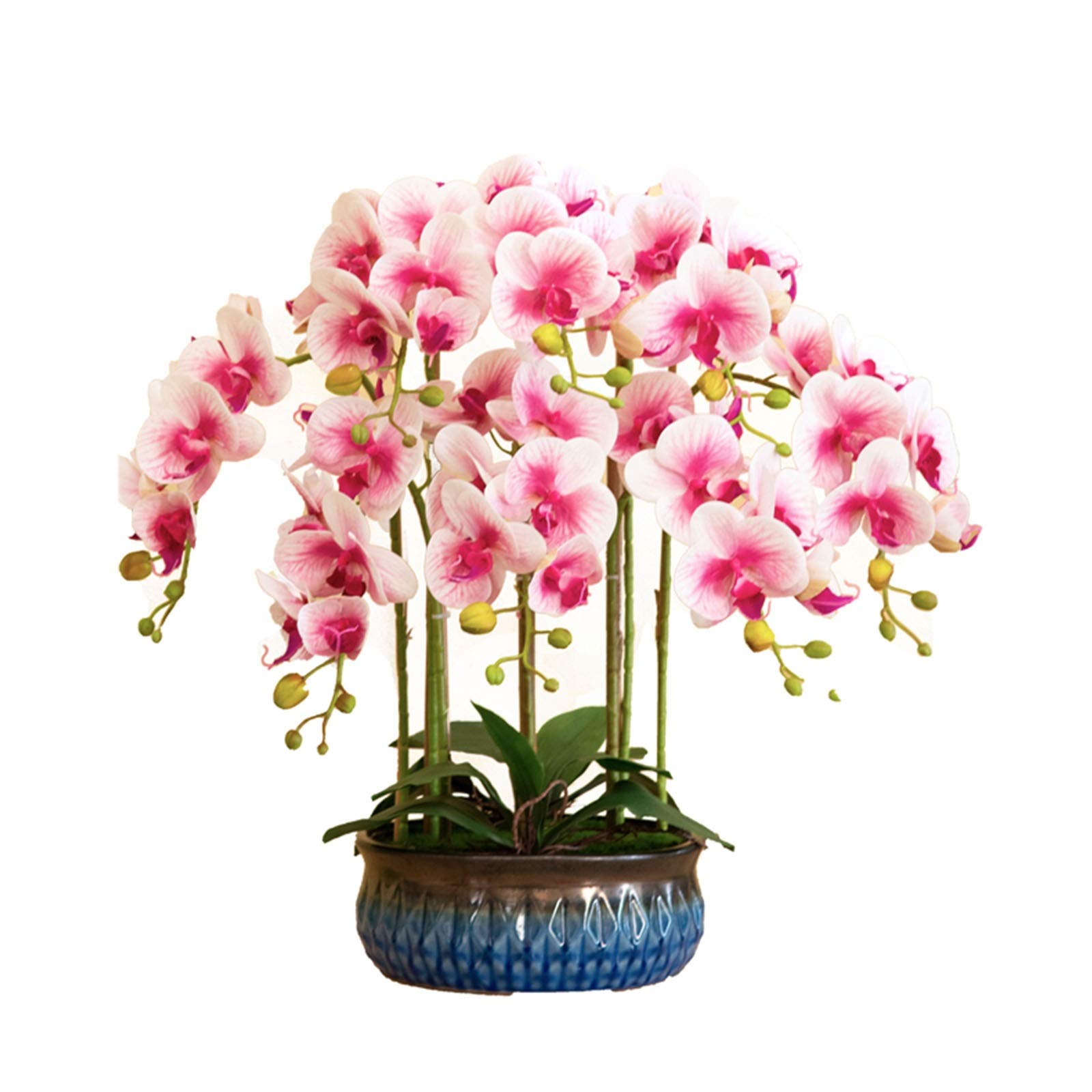 Premium Artificial Phalaenopsis Orchid Flowers in Vase - Silk Fake Orchid Floral Arrangement for Wedding, Home & Office Decor - Indoor/Outdoor Use - Perfect for Centerpieces, Table Decorations and Festive Furnishings