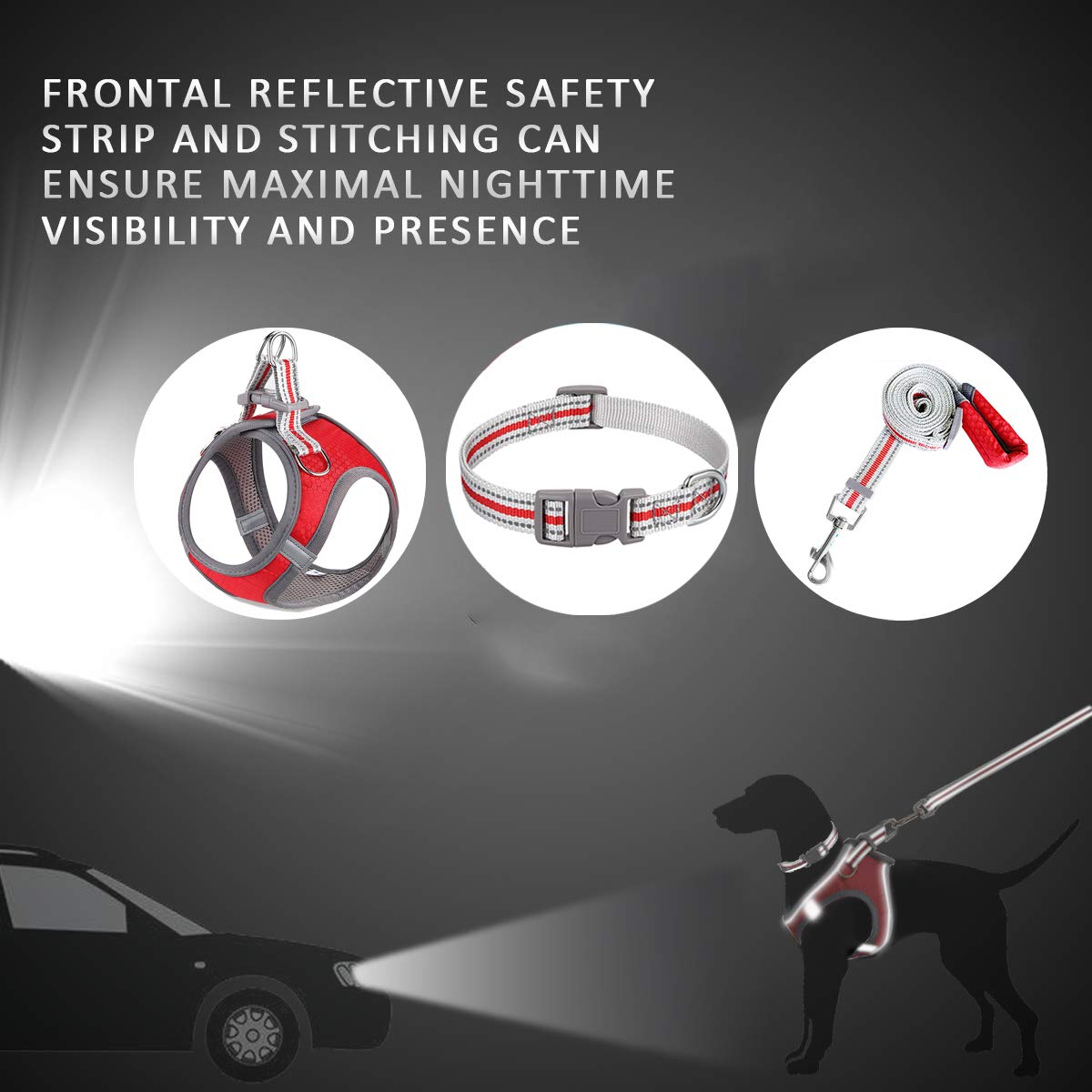 JSXD Small Dog Harness & Leash Set - Adjustable Step-in Puppy Vest with 3M Reflective Strips for Small to Medium Dogs | Perfect for Walking, Training & Nighttime Safety