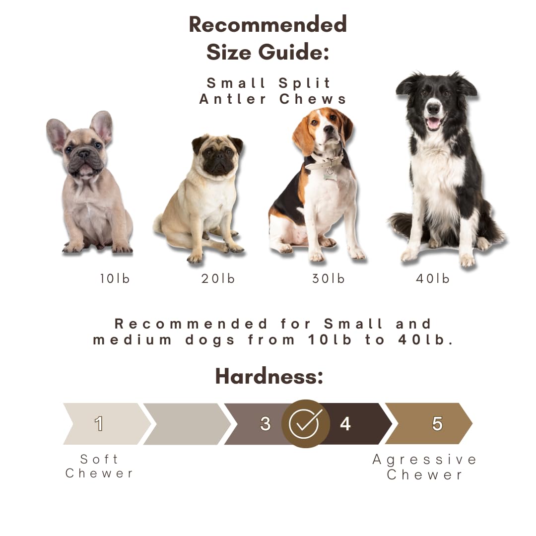 Premium Split Elk Antlers for Dogs - All Natural Dog Chew Bones (3 Pack Small to Medium) - Naturally Shed & Cruelty-Free - WhiteTail Naturals - Perfect for Teething, Dental Health & Long-Lasting Chewing