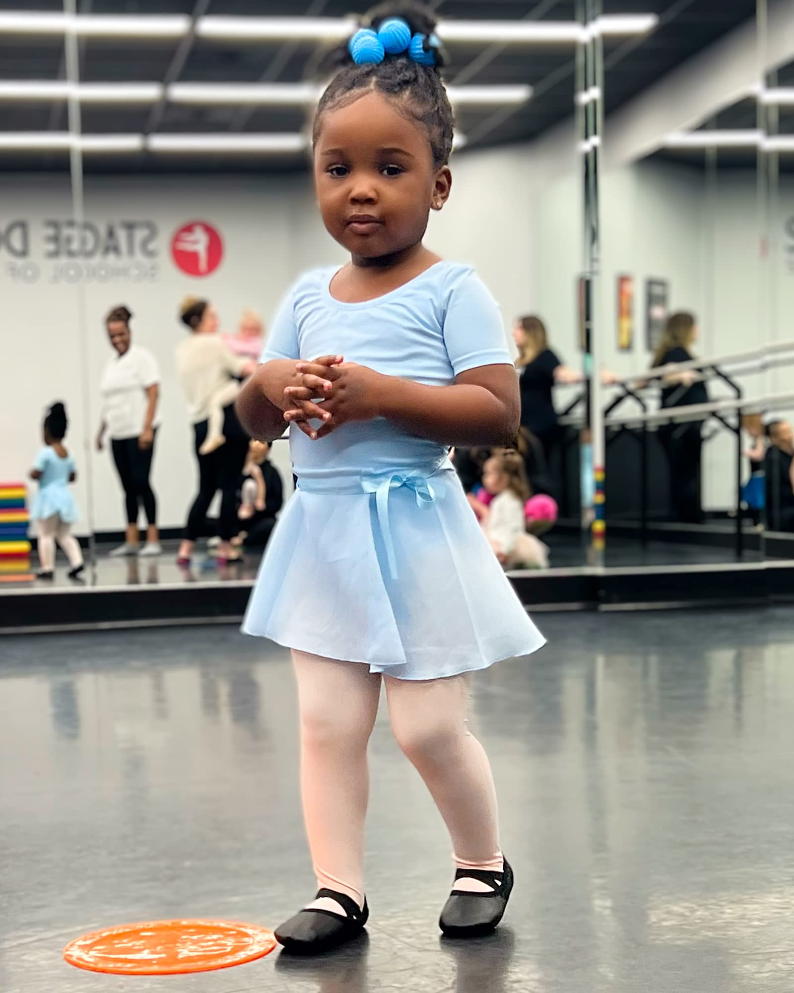 **Stelle Ballet Leotards for Girls - Toddler Dance Dress Outfit with Skirt & Tights (Toddler/Kids Sizes) - Perfect for Ballet Class, Recitals & Dance Performances**