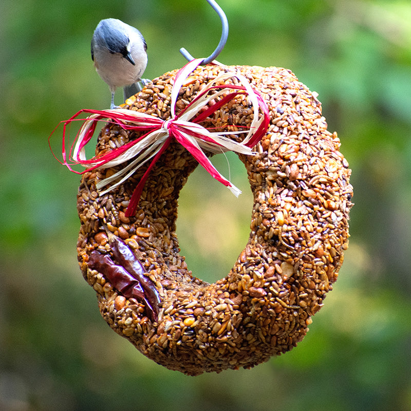 Premium Flaming Hot Feast Bird Seed Wreath - All-Natural Wild Bird Food for Outdoor Feeding - Perfect for Backyard Birdwatching & Garden Decoration